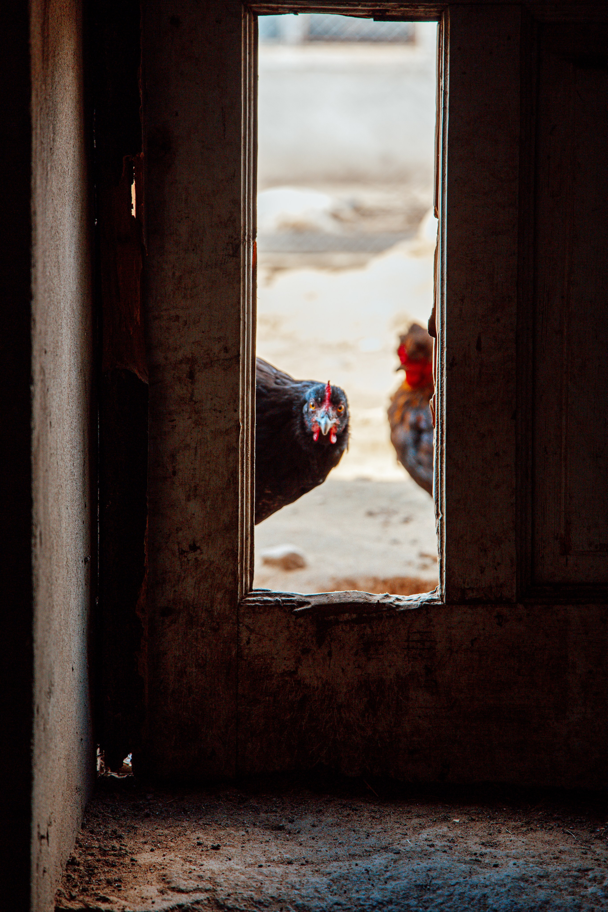 Элла Ферма. Юлия Космо — фуд-фотограф, предметный стилист, Москва