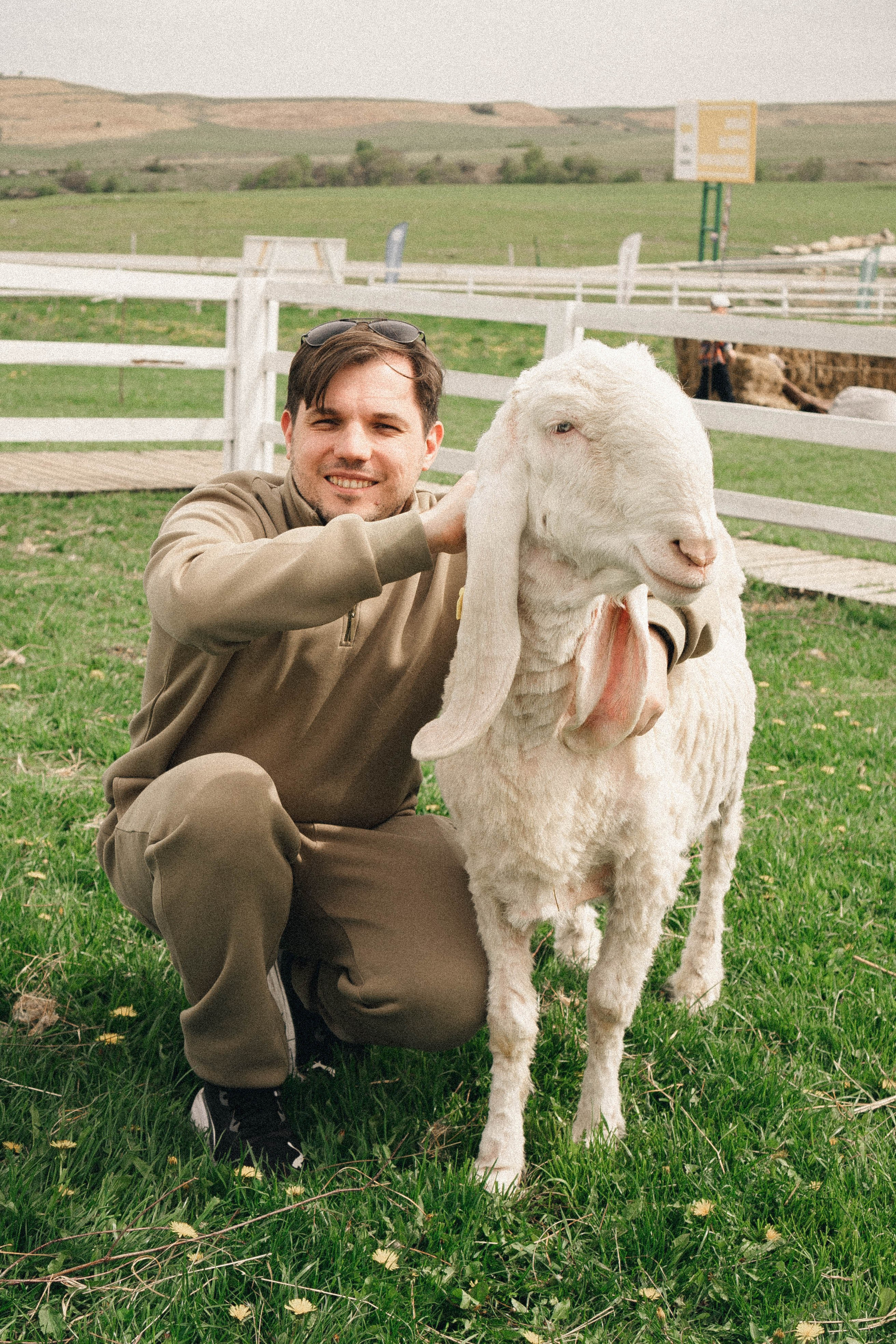 Ферма Альпак. Профессиональный фотограф, Санкт-Петербург — Виктория Богомолова