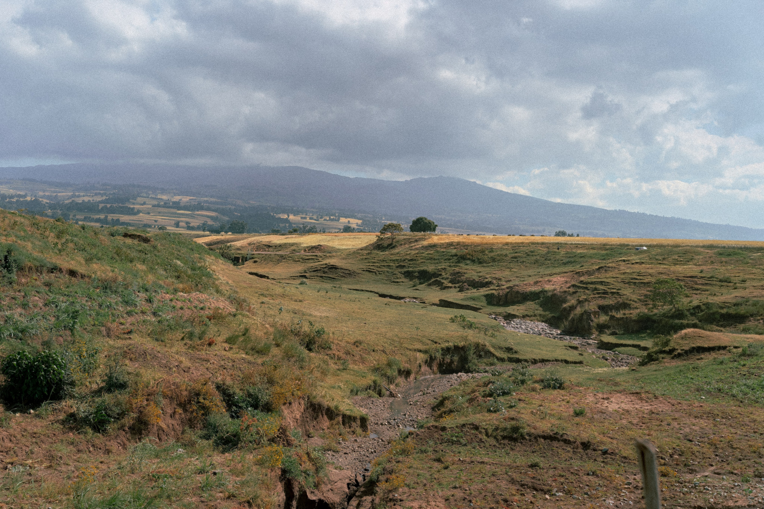 По дорогам Эфиопии. Юля Дэй • Фотограф, Санкт-Петербург