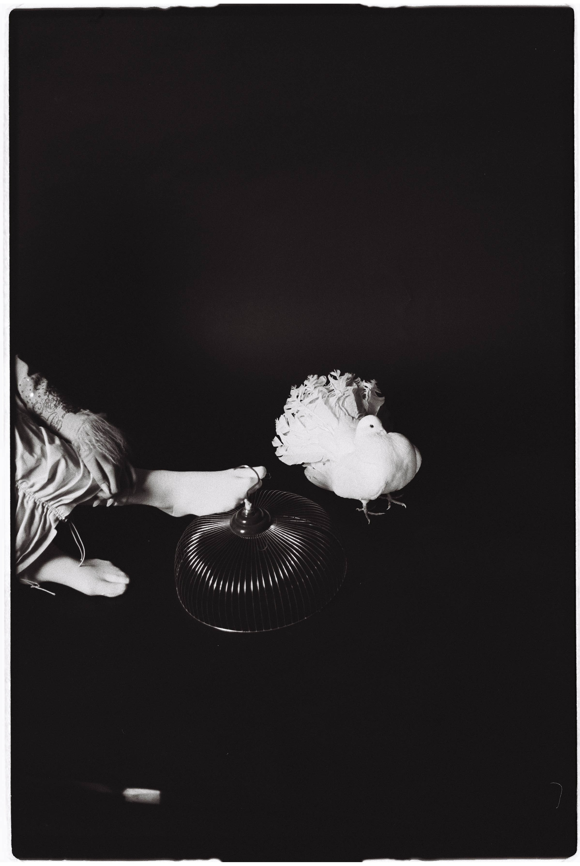 Polyna. MARK DOROHOV