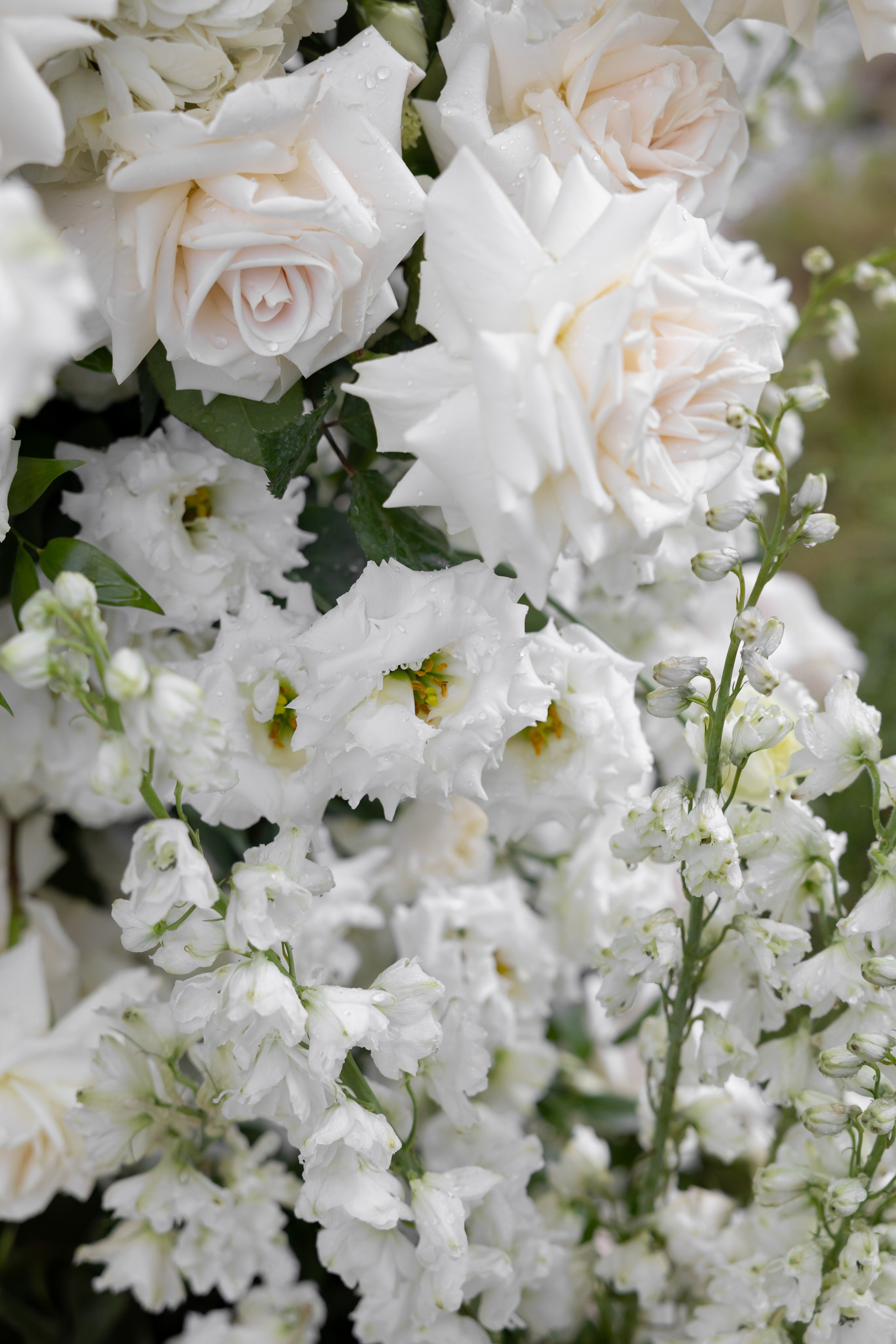 Михаил & Виктория. Обо мне