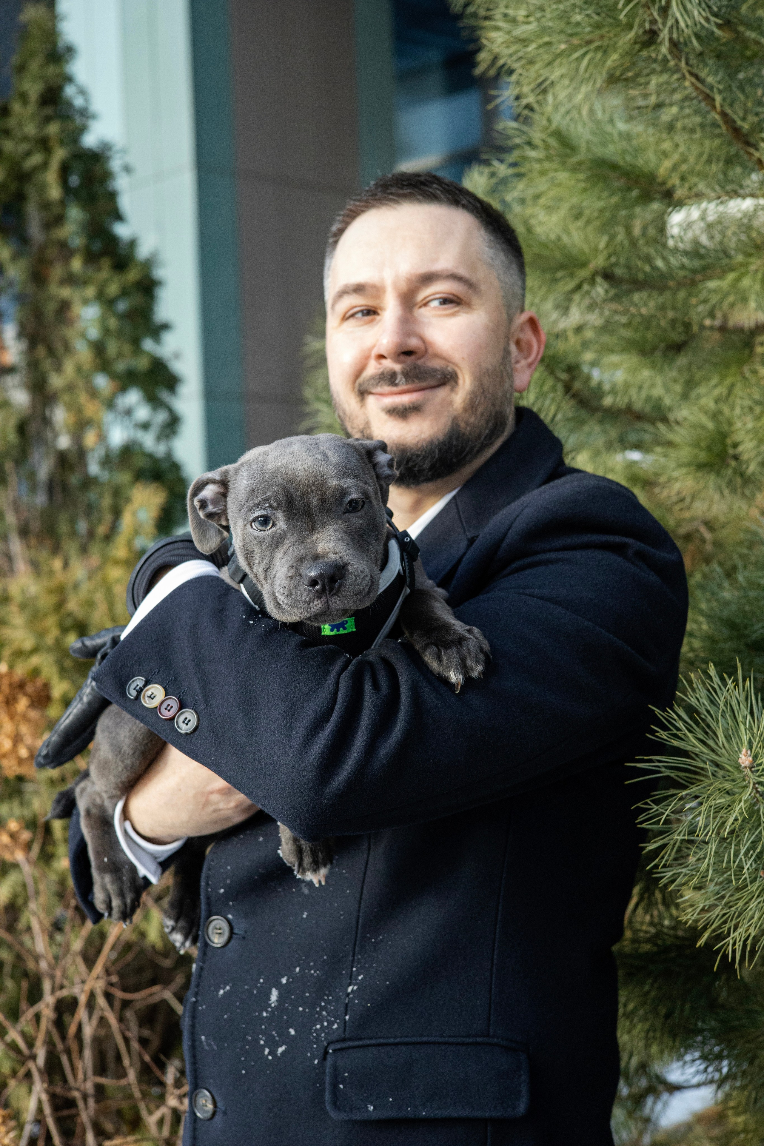 Дарси, Тимур и Юля. Фотограф-анималист Ксения Шевцова|Москва