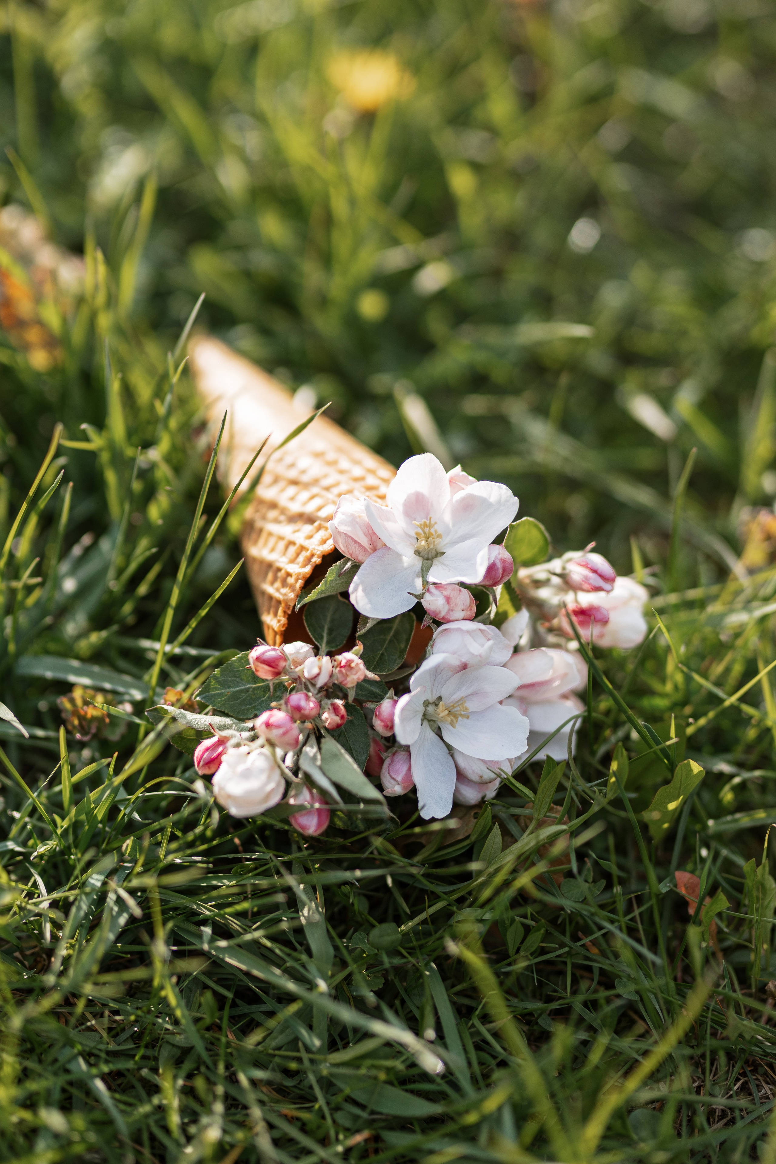 ЛОШИЦКИЙ ПАРК. Cheta Kovalevsky фотографы