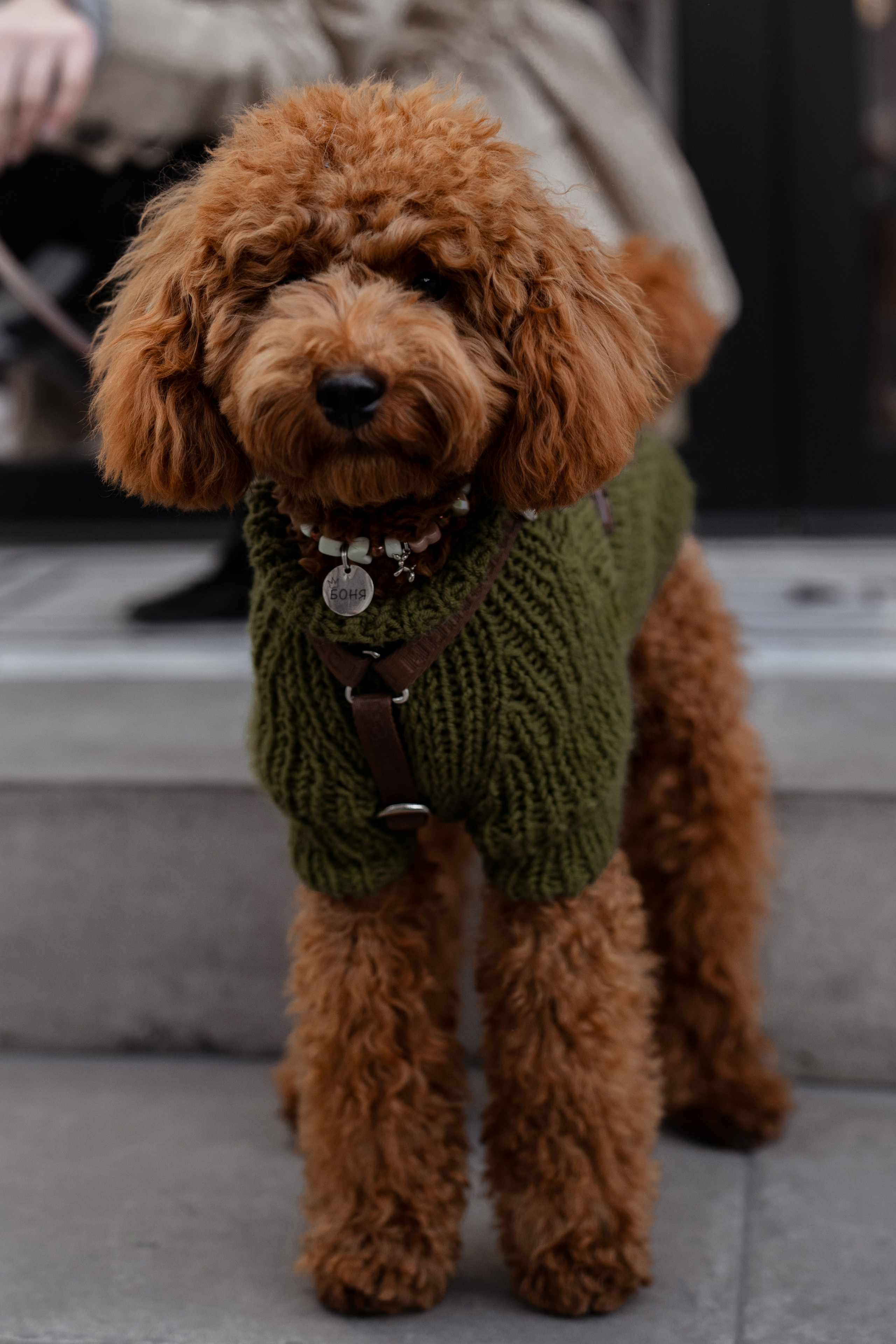 Таня и Боня. Фотограф Севастополь — Климова Анастасия