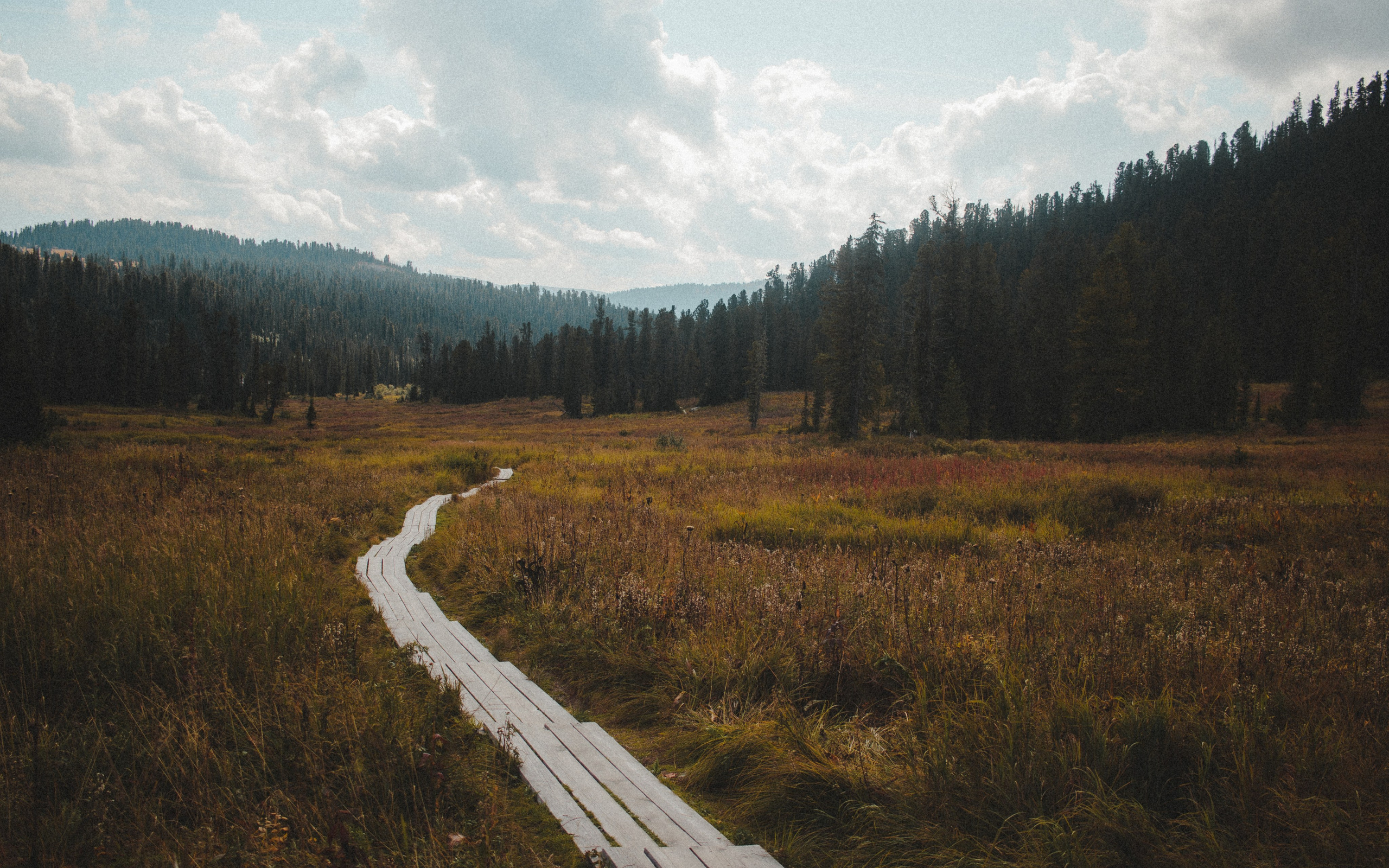 Other. Фотограф Абакан|Фрейман Никита