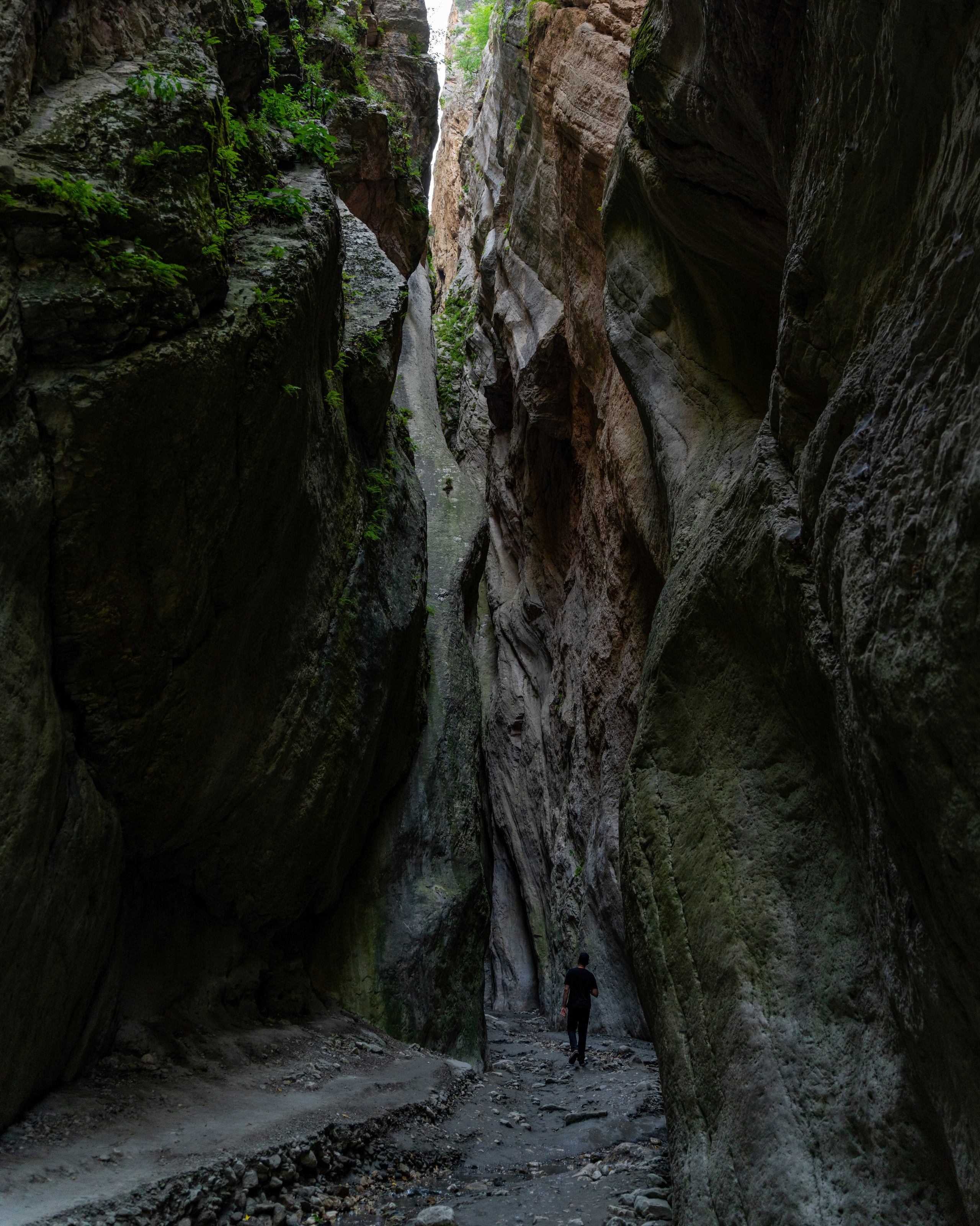 Дагестан. Фотограф в Москве. Шахабудин