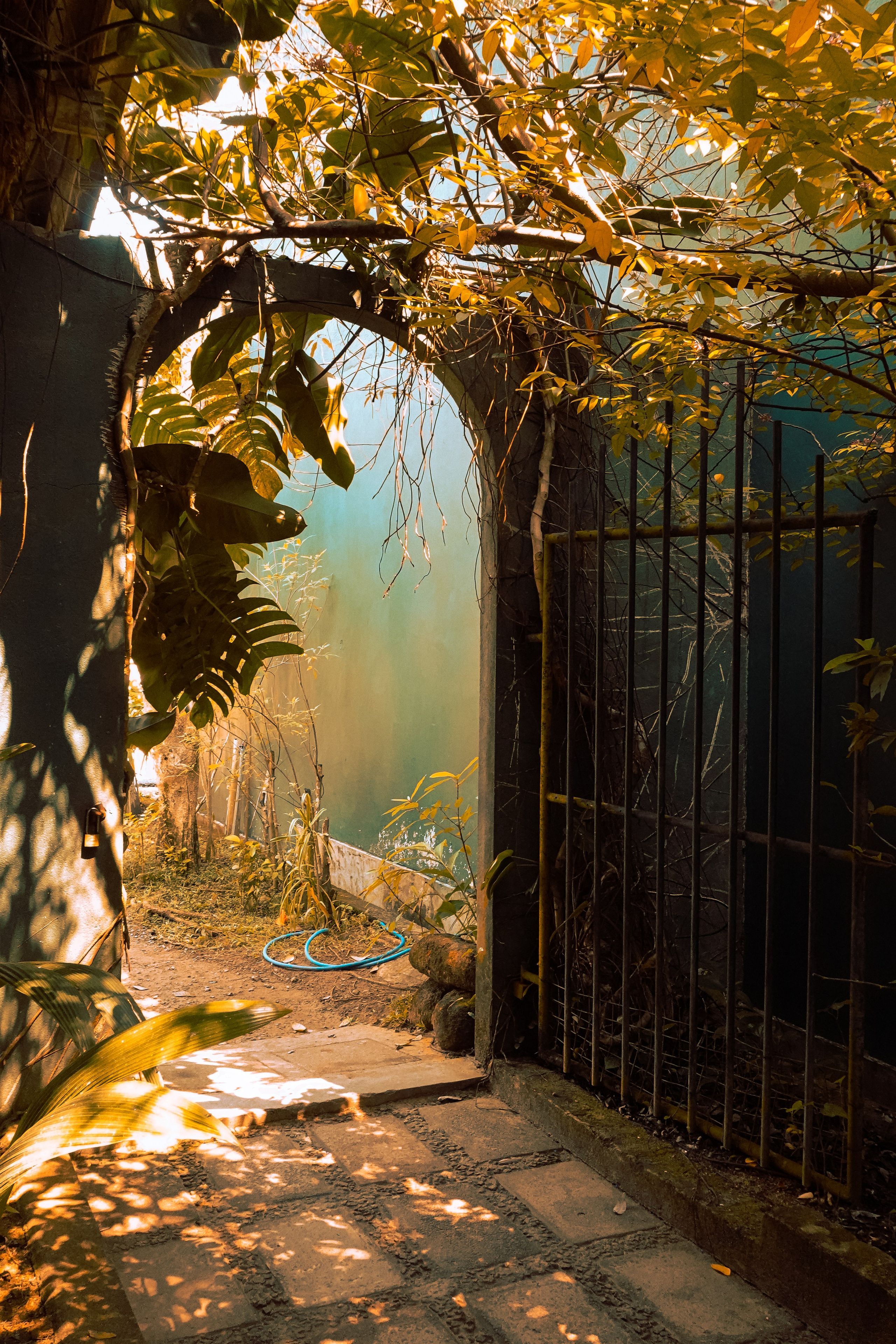 Шри-Ланка. Фотограф Алиса Аспер