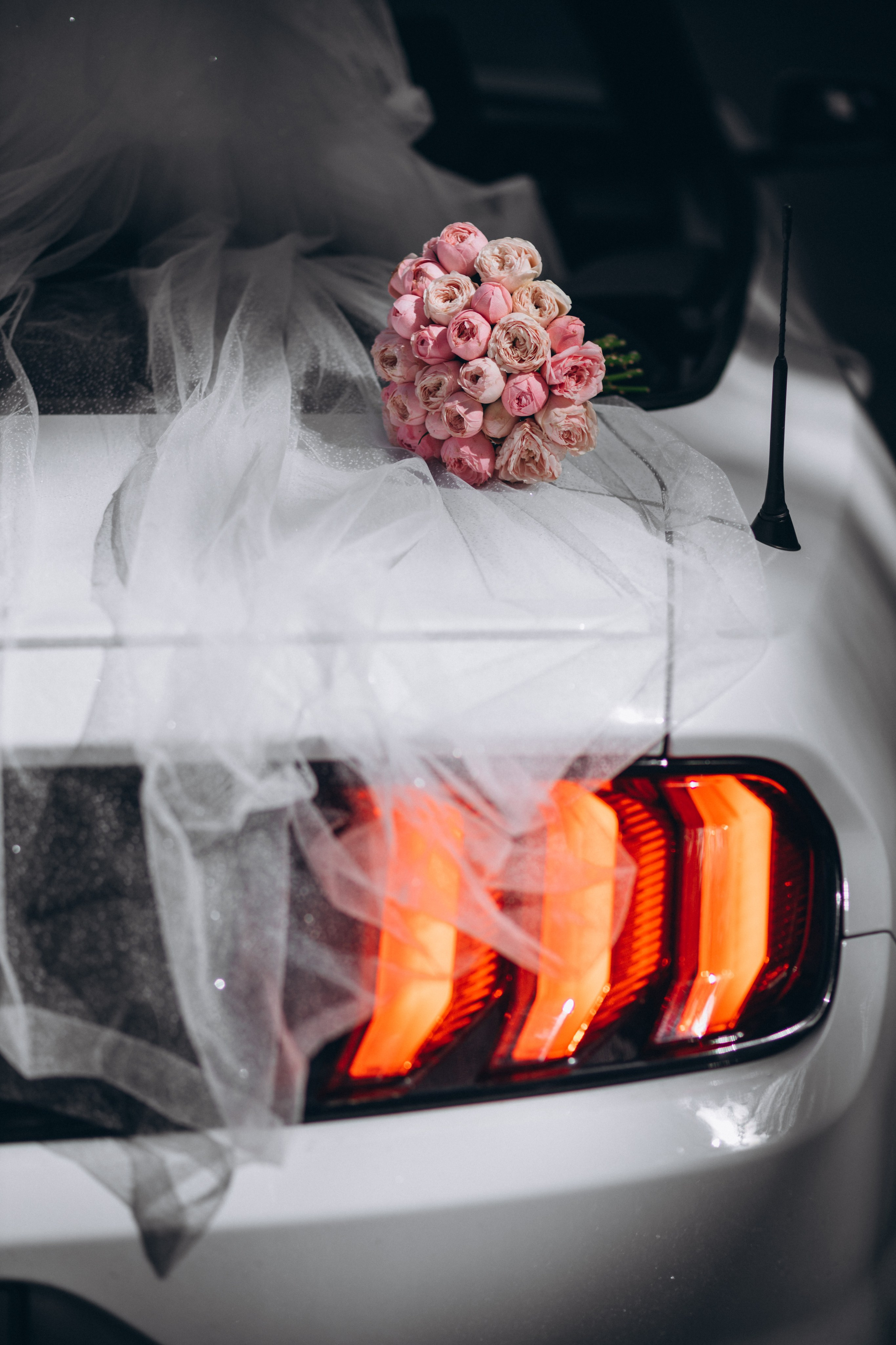 Свадьба. Свадебный и семейный фотограф в Санкт-Петербурге Яцына Юрий. Видеоопер