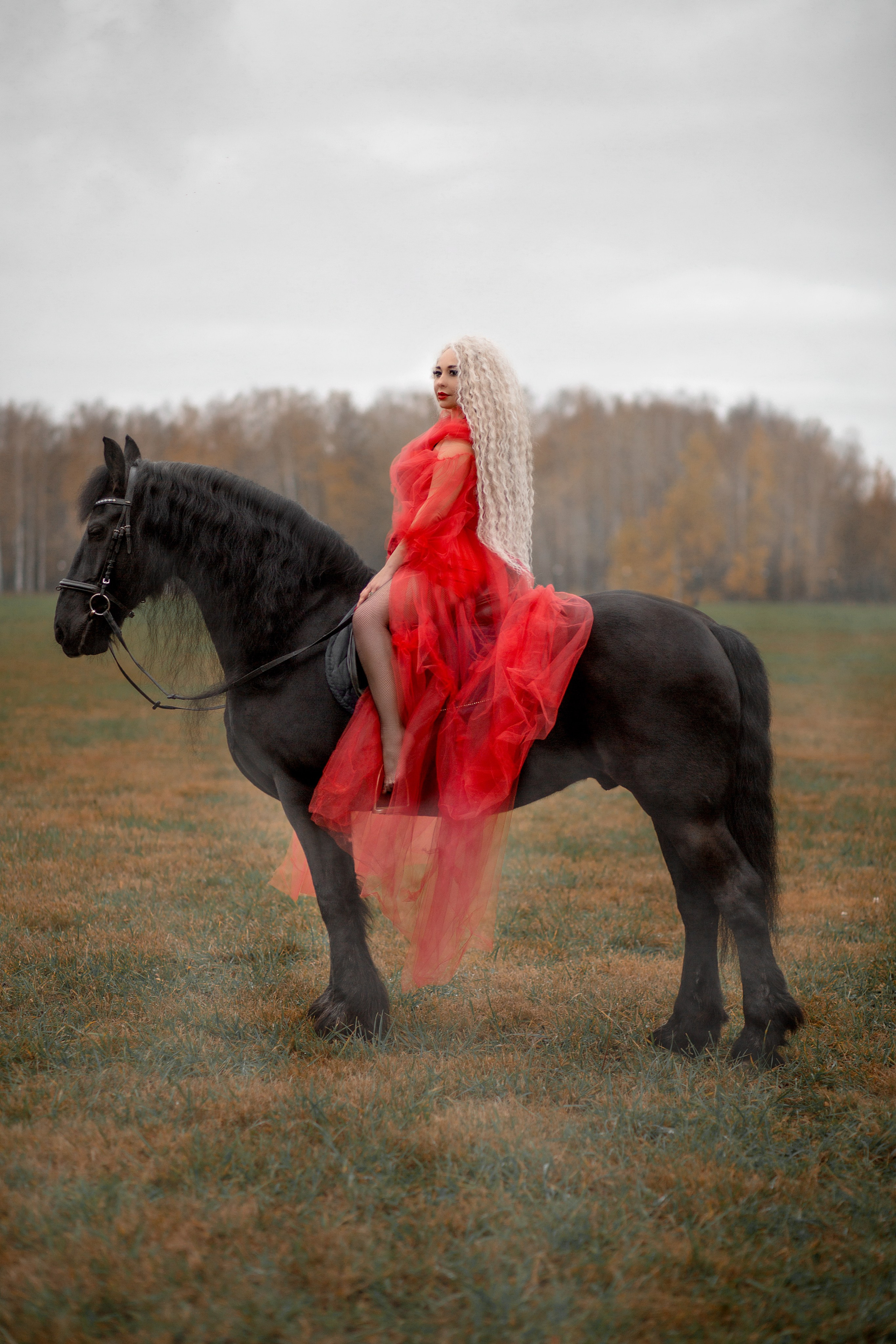 Олена и Дантес (КСК Курцево). Фотосессия с лошадьми в Нижнем Новгороде