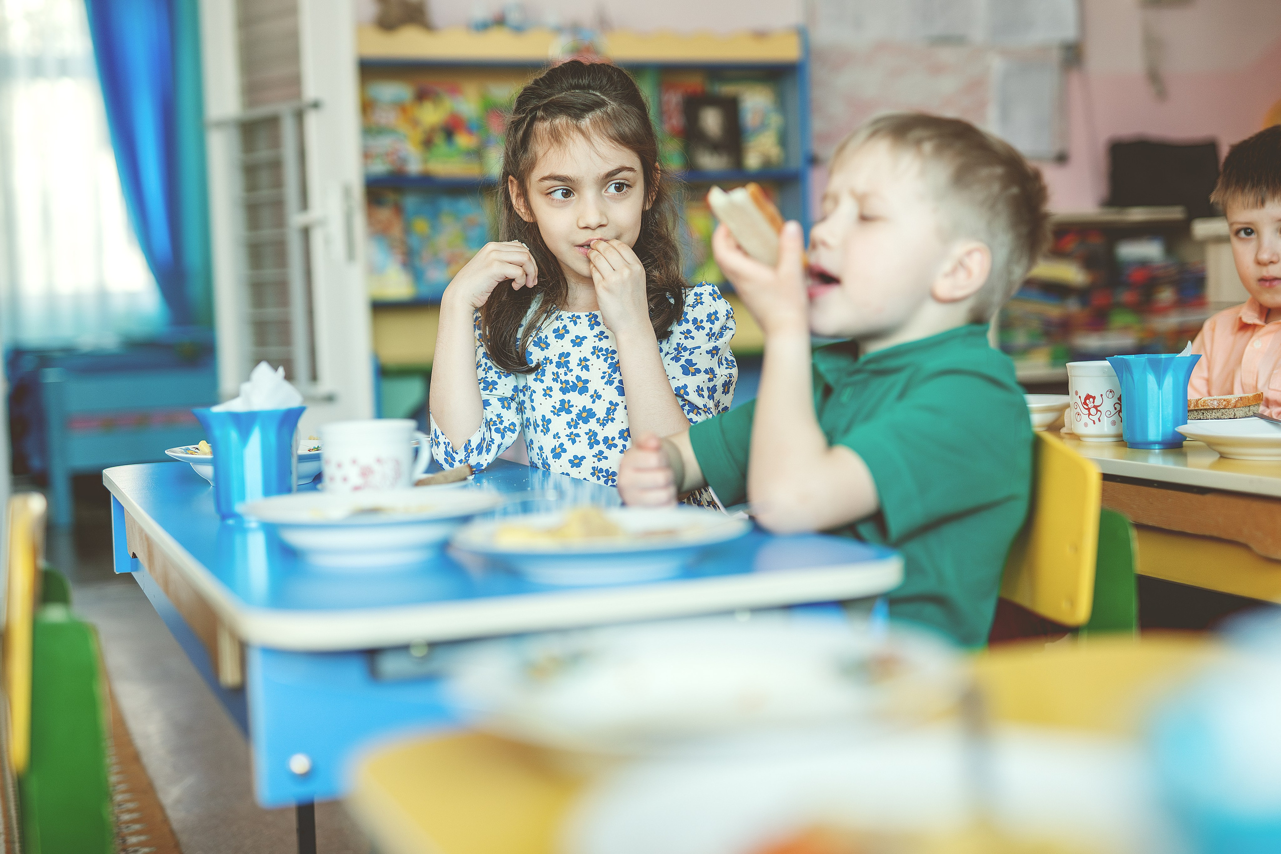 Сад 3. Школьные альбомы и альбомы для детского сада. Юлия Осипова. Москва