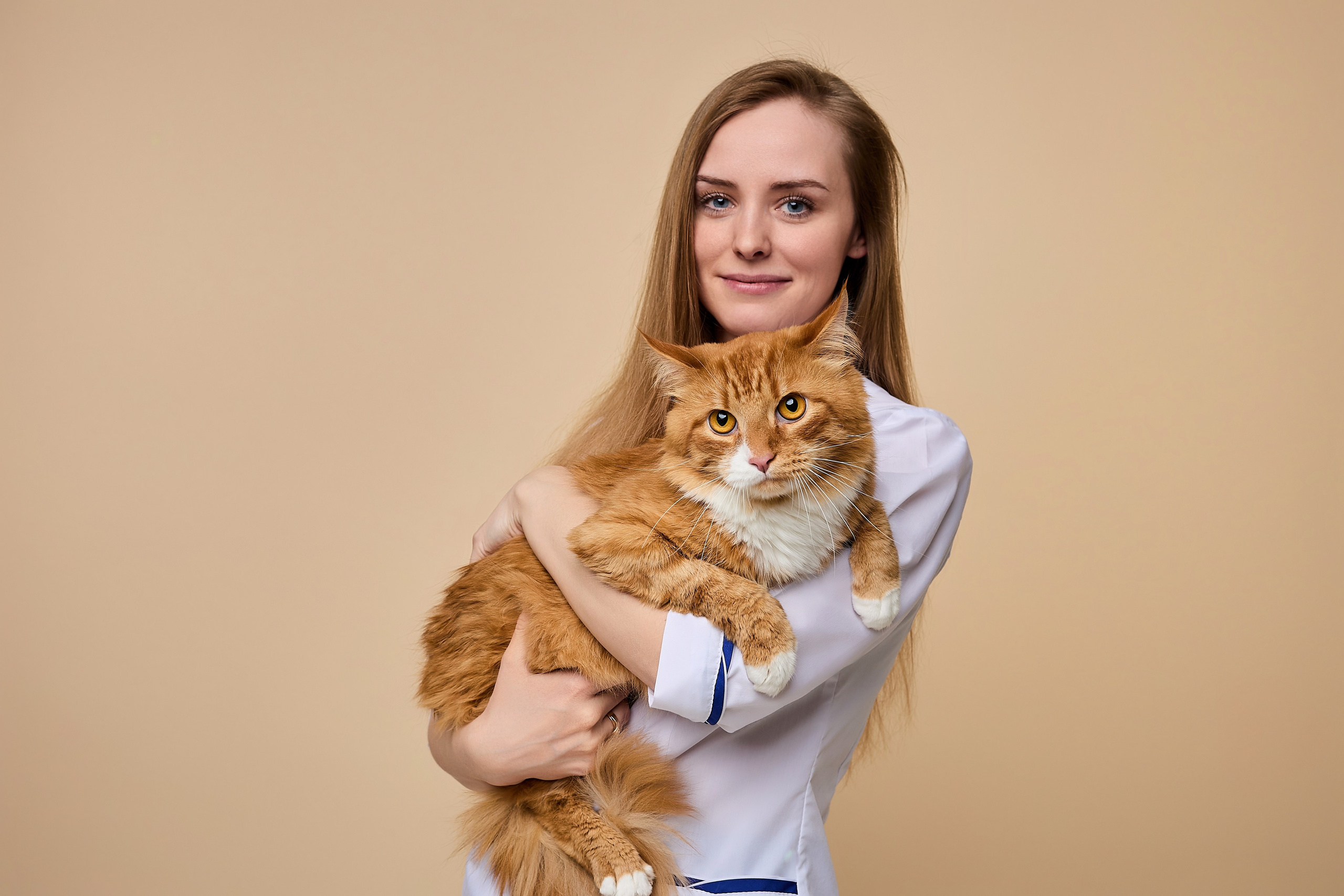 Контент для ветеринарного лендинга правительства Москвы. Фотограф и Видеограф в Москве. Олег Корушев