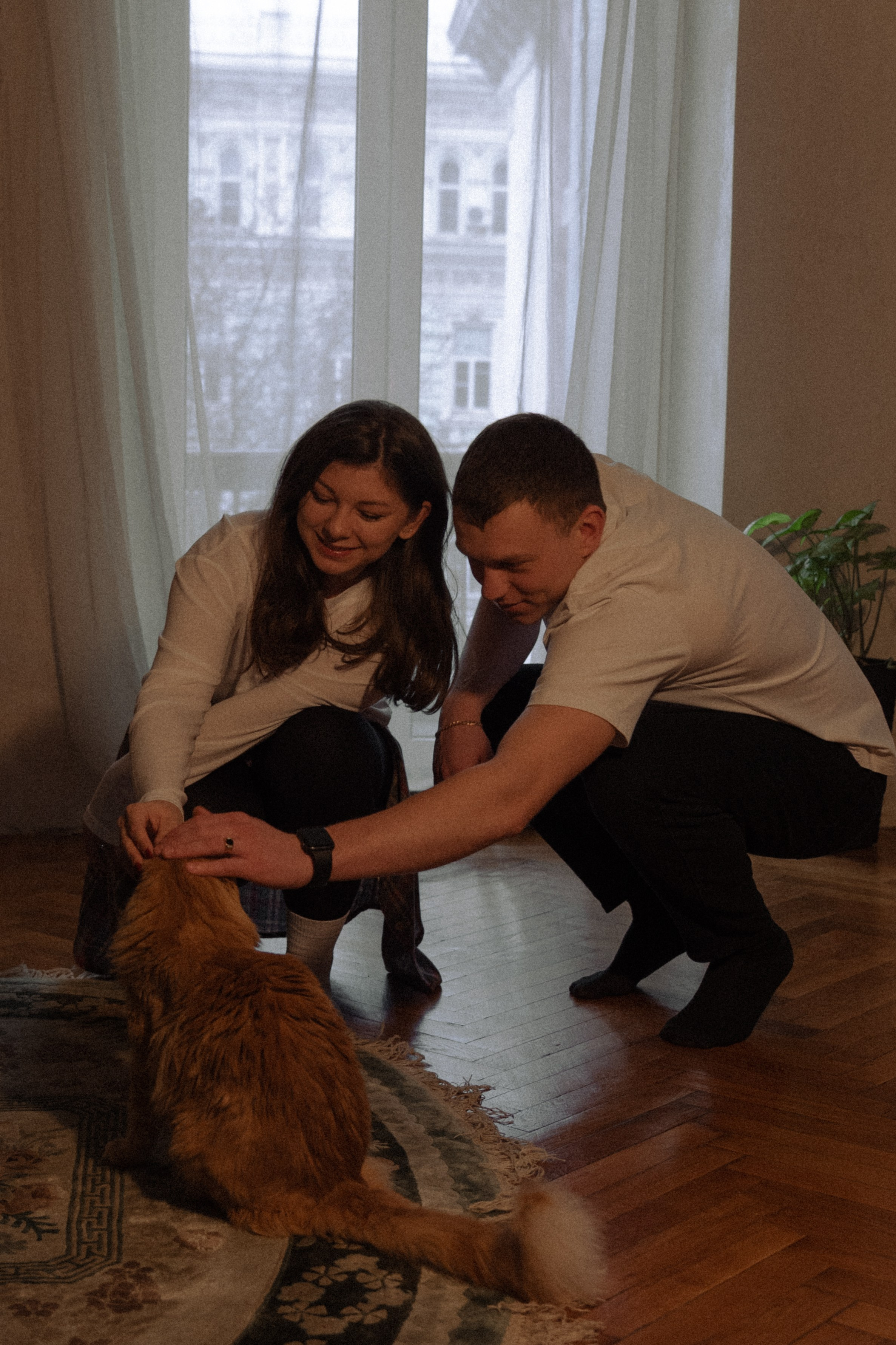 Семейные. Фотограф | Виктория Чернышева