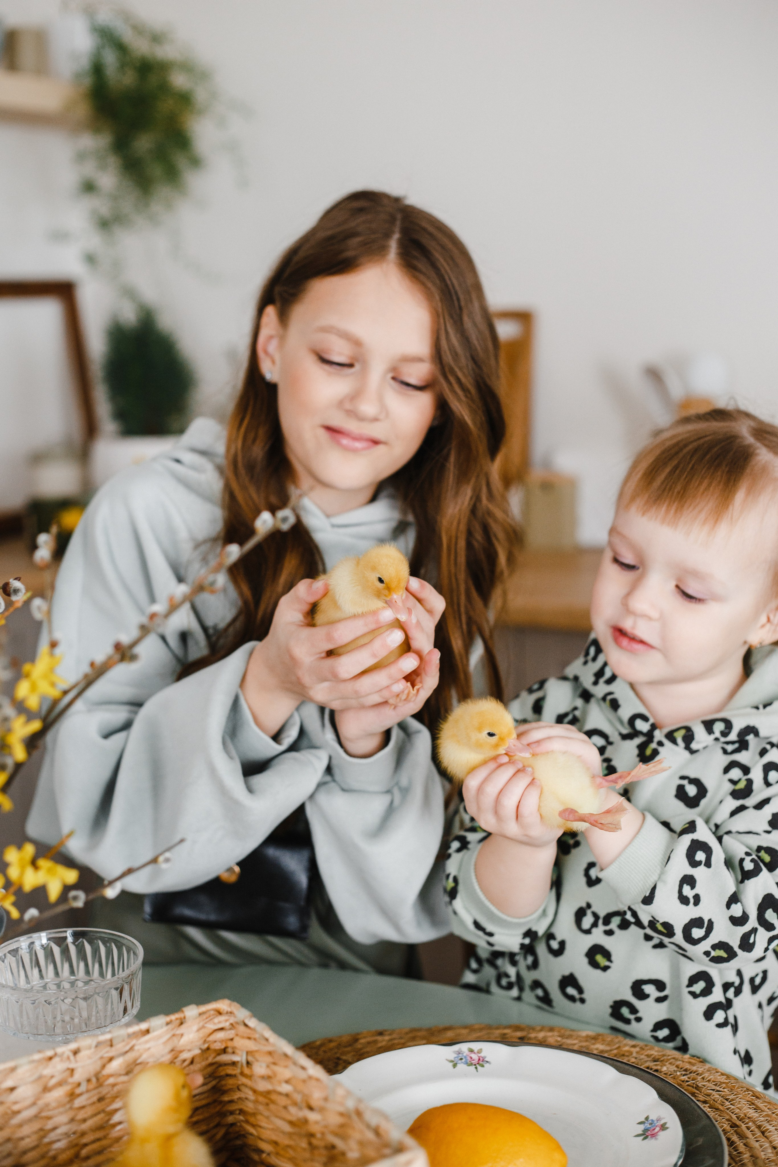 Family. Главная