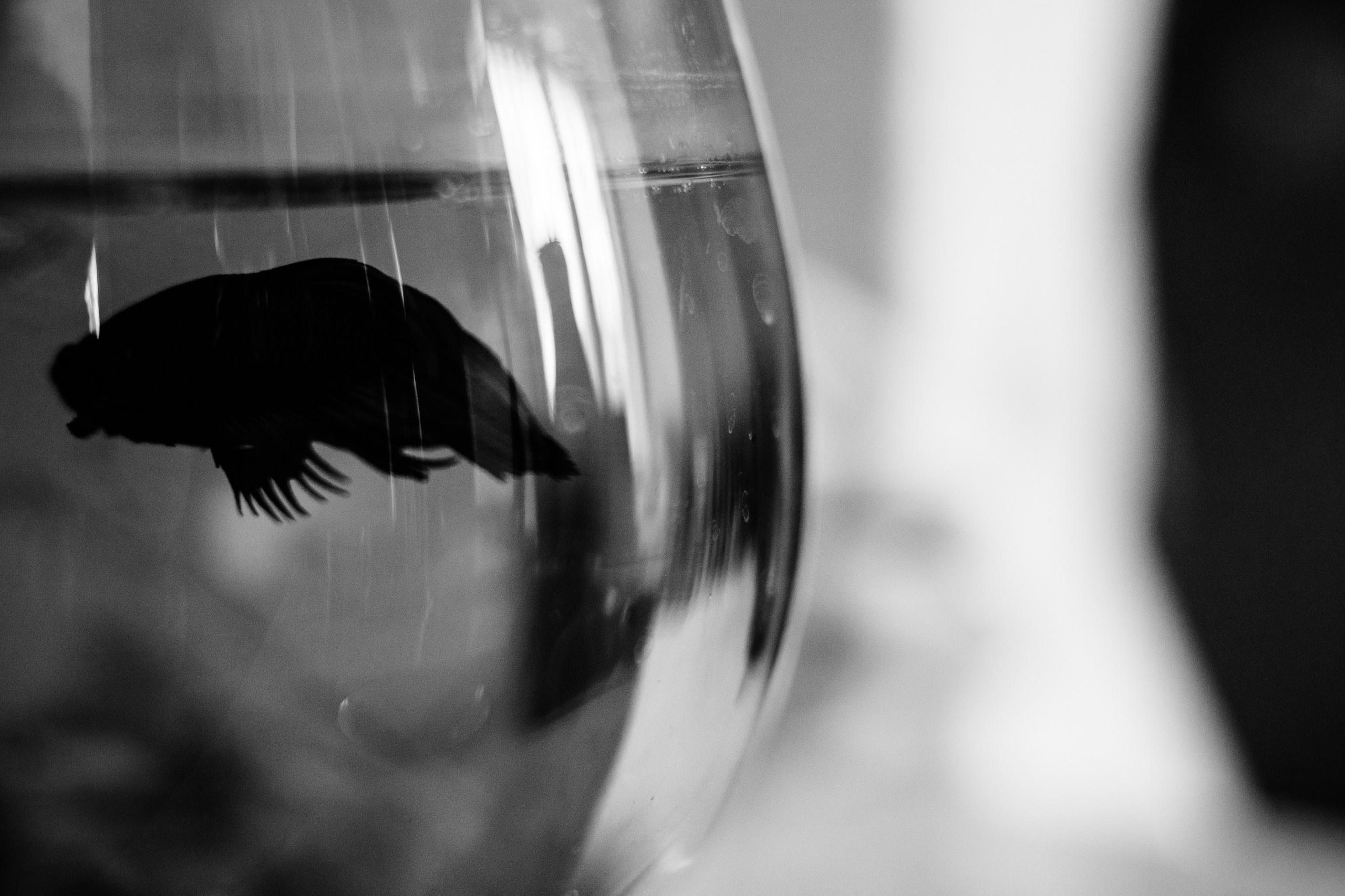 Виктория. Фотограф Дарина Фельдман