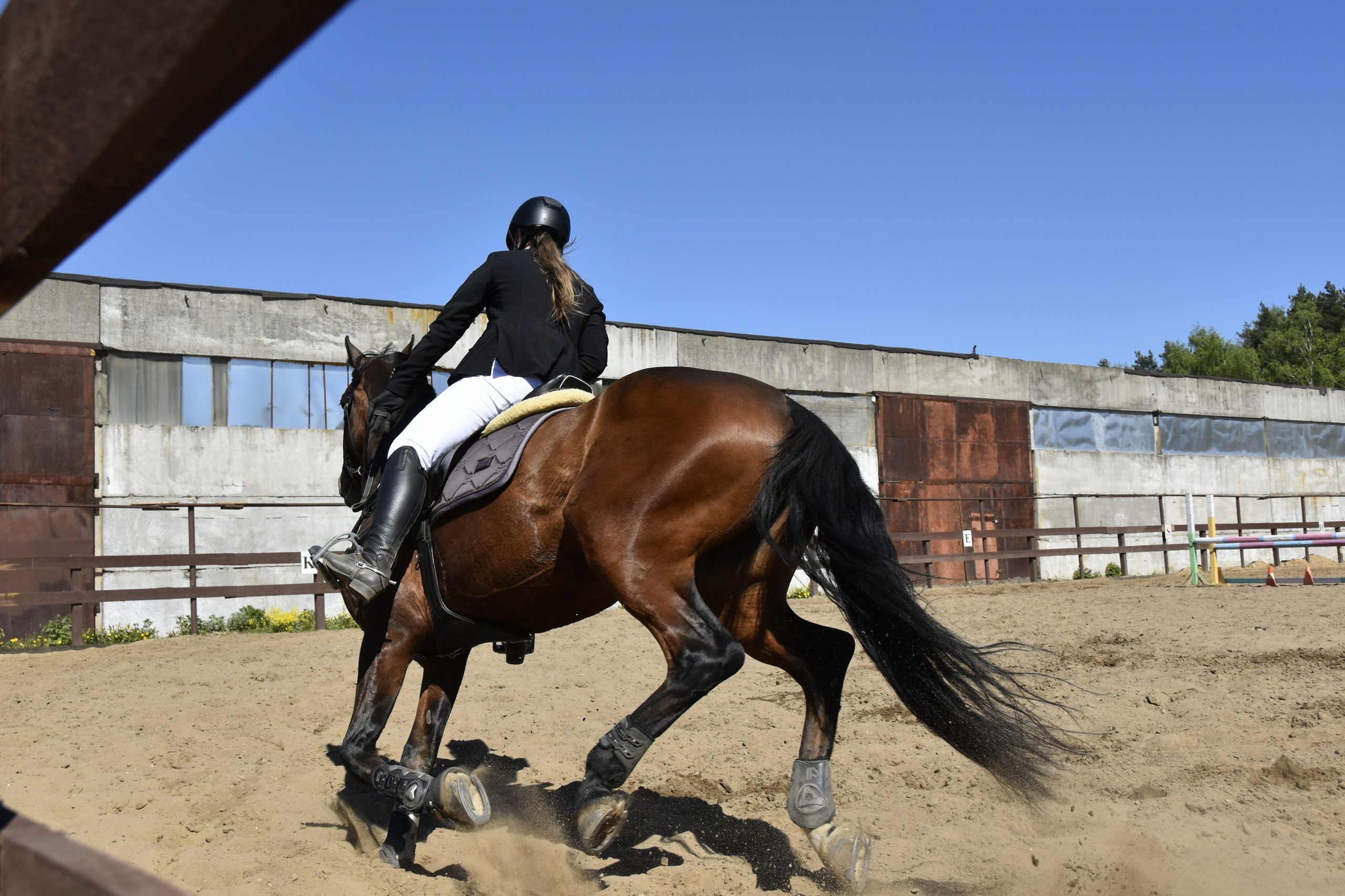 Соревнования по конкуру. КСК «Галактика». Конный фотограф Москва