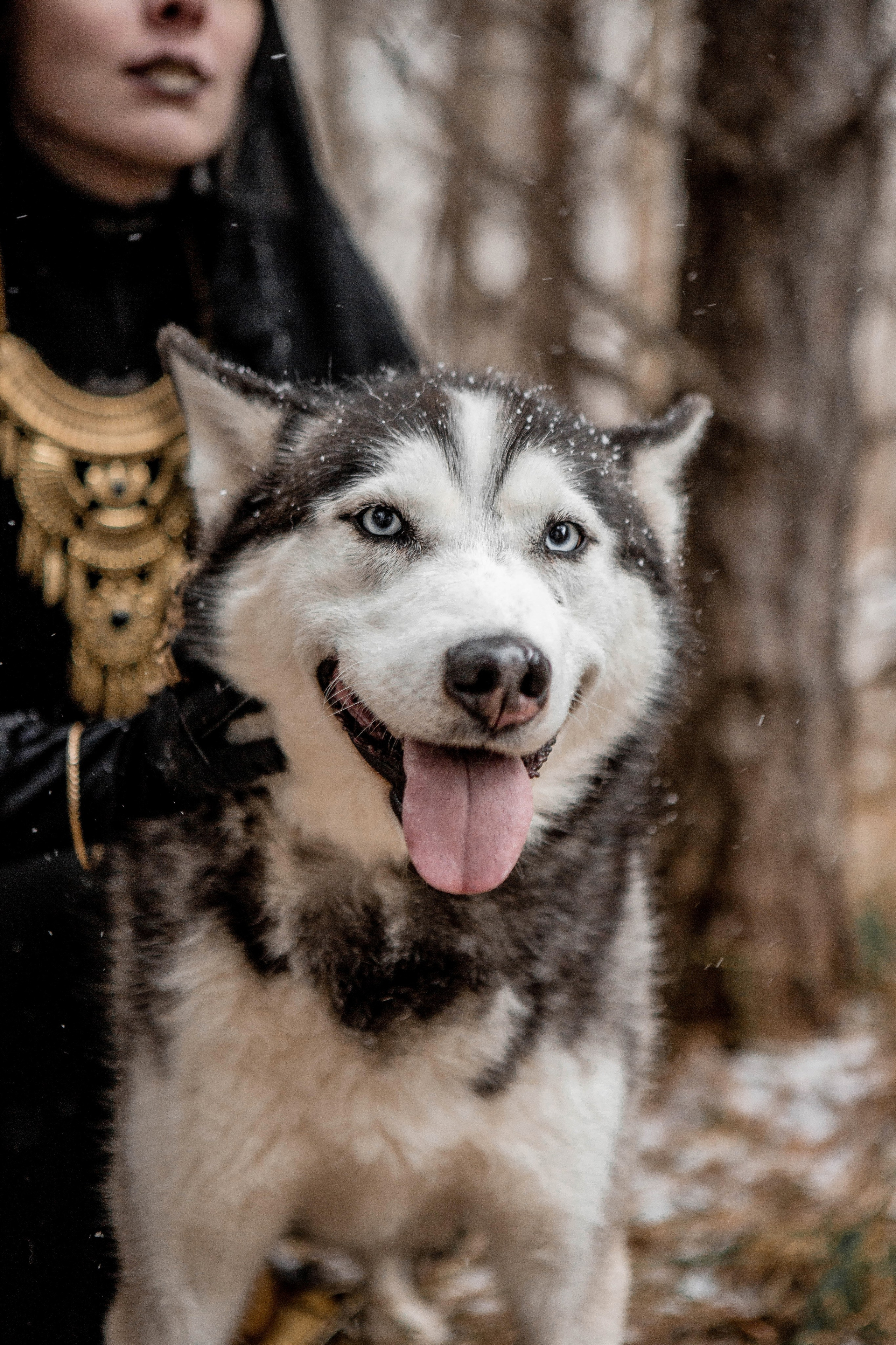 Золото и Тьма. Фотограф Екатерина Голицына