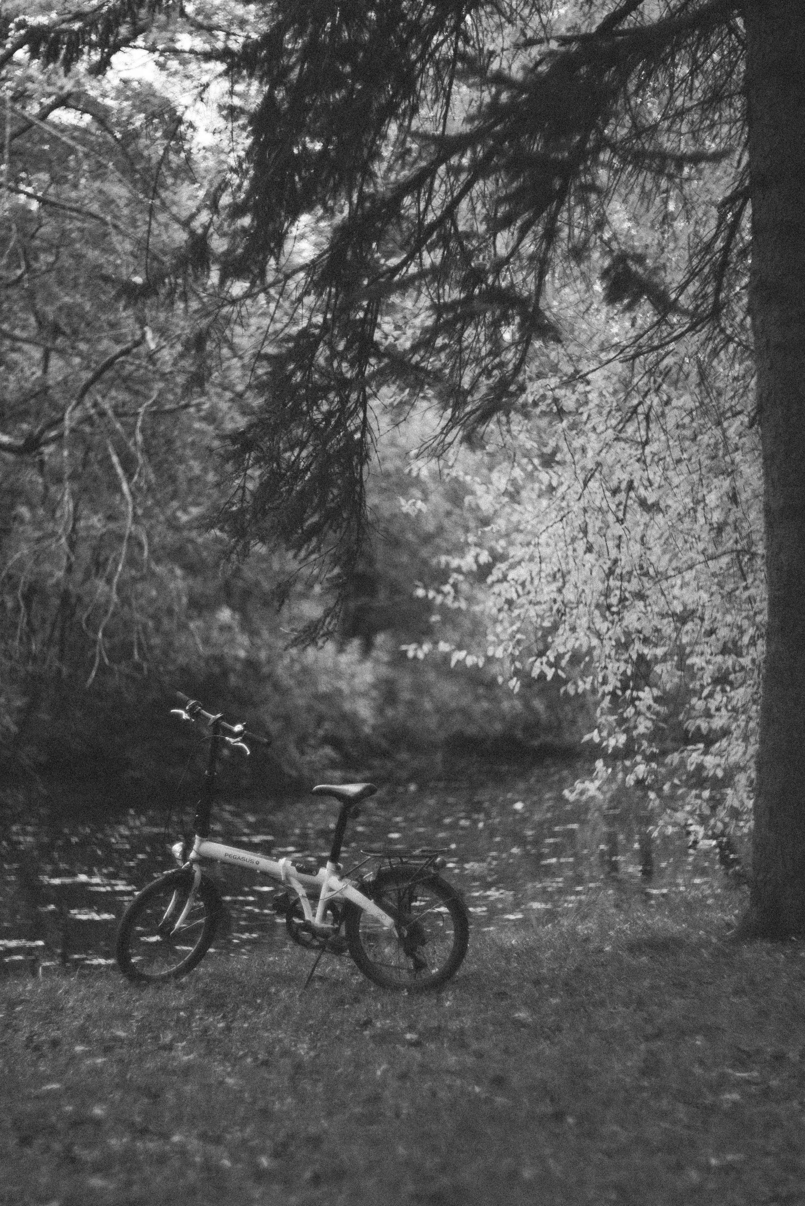 Autumn. Свадебный фотограф Санкт-Петербург DanyaPhotoart