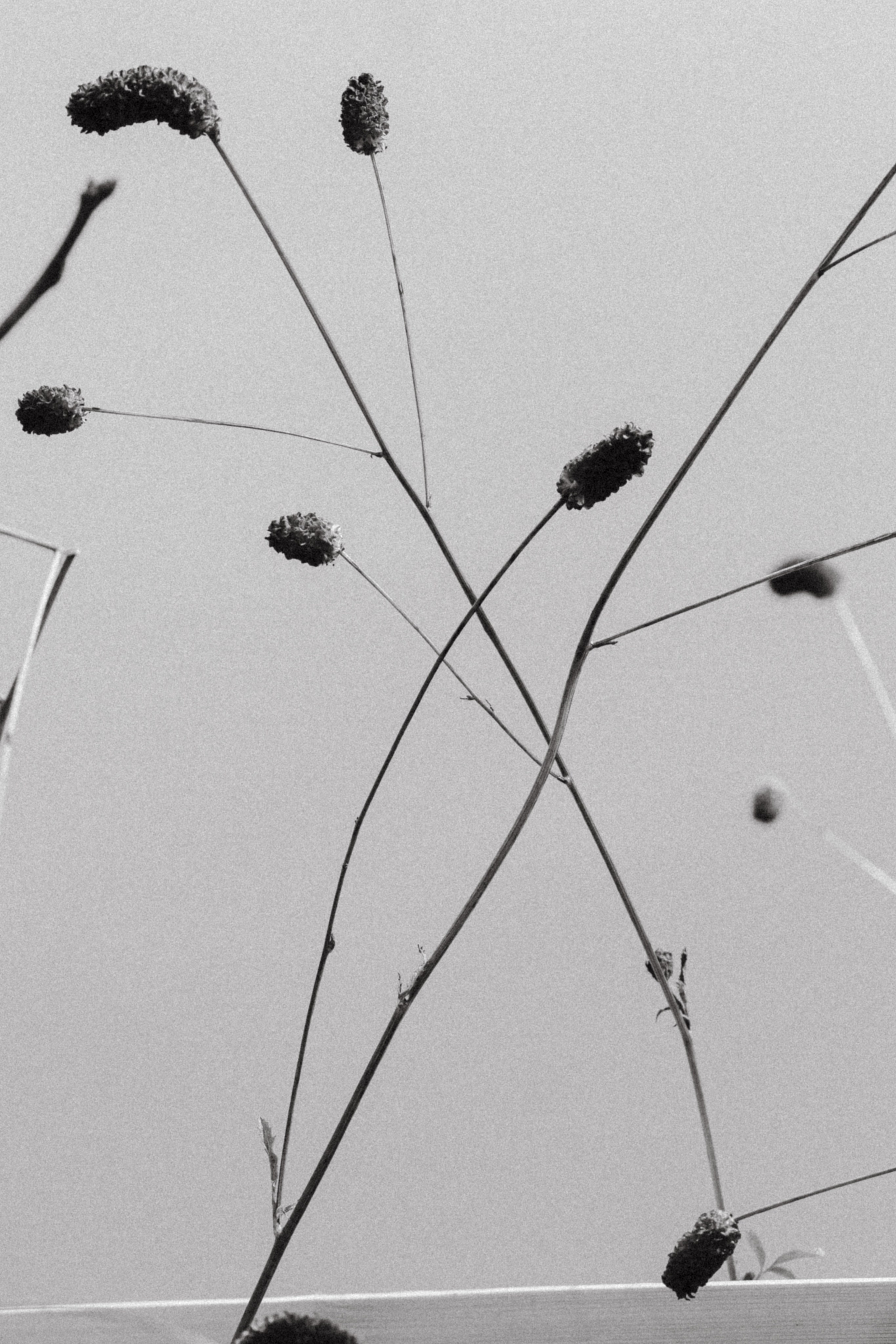 Одной дорогой. Свадебный фотограф Елизавета Беляева