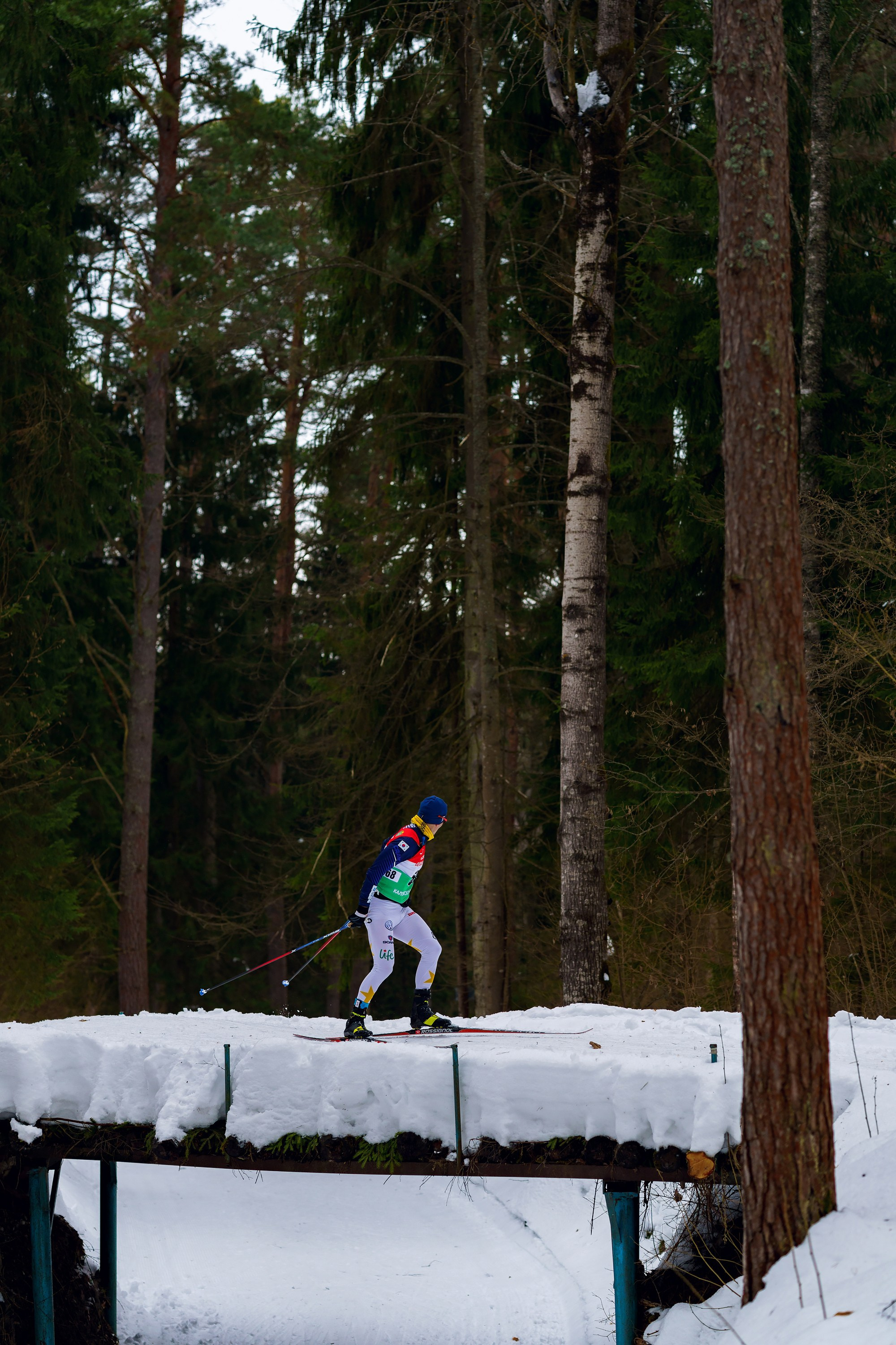 Фотографии Калужский лыжный марафон 2024. Фотограф спортивные события, недвижимость, турбизнес
