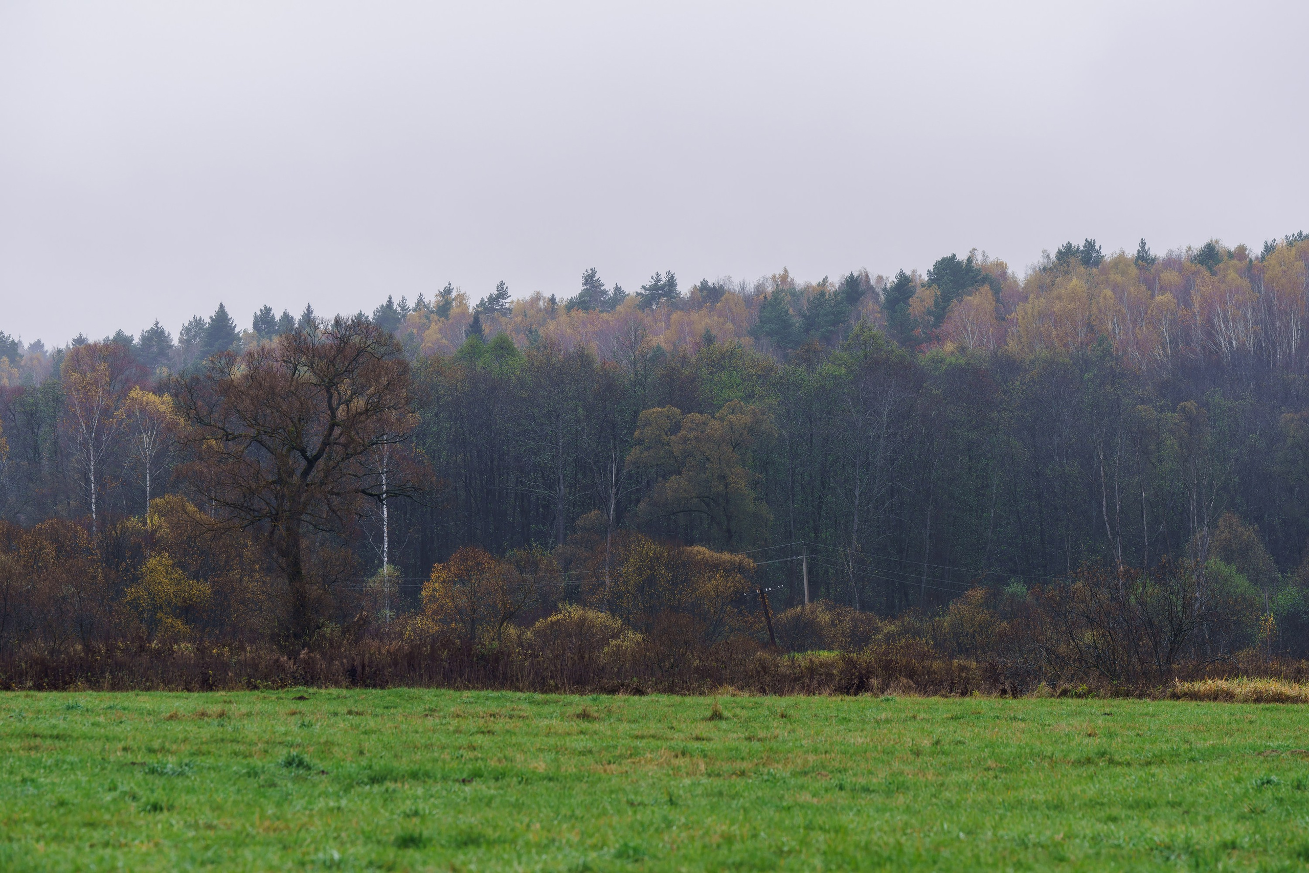 Фотографии Трейл Кутузов 2025. Фотограф спортивные события, недвижимость, турбизнес