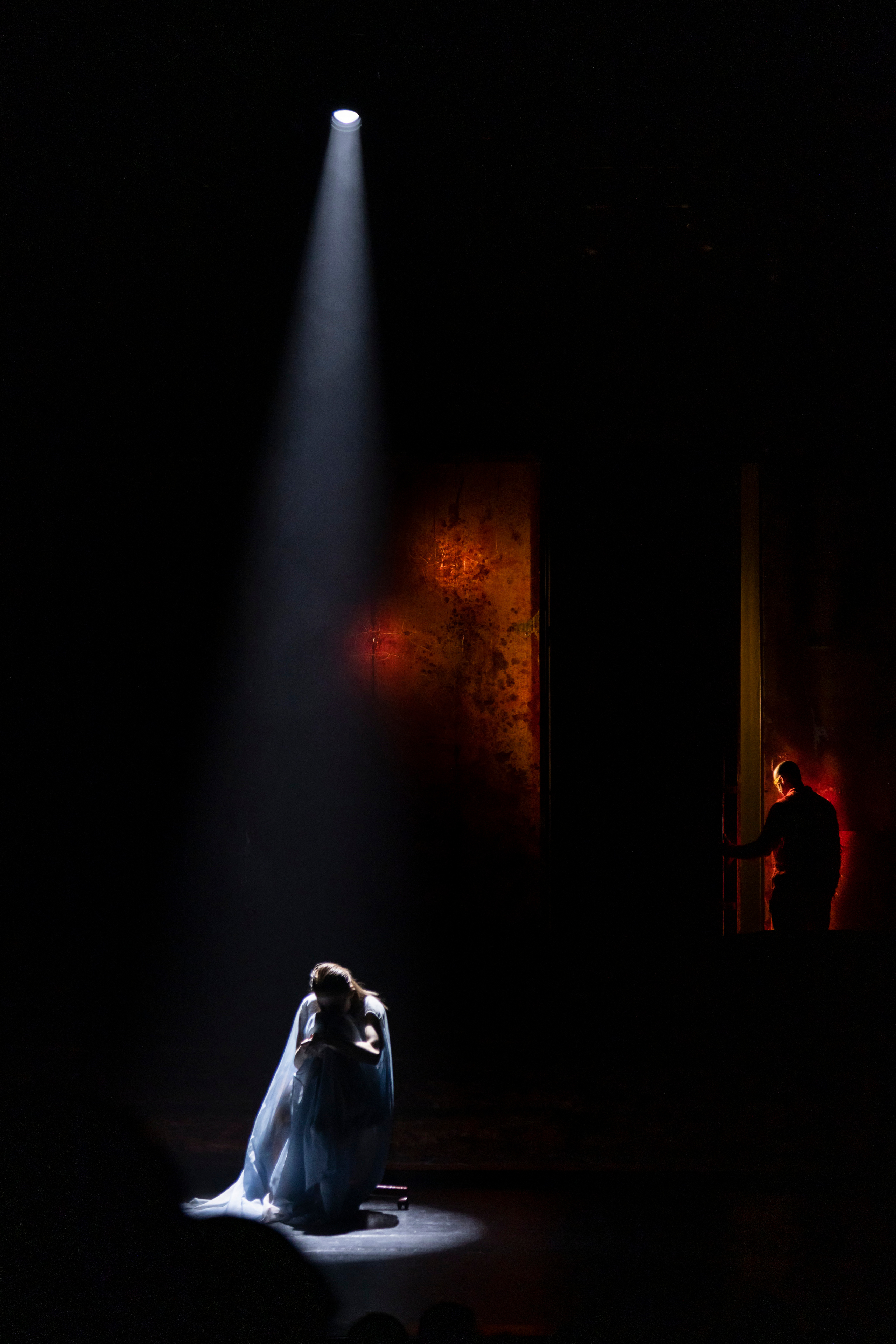 Спектакль по знаменитому роману Станислава Лема Фотограф - Мэри Маршания