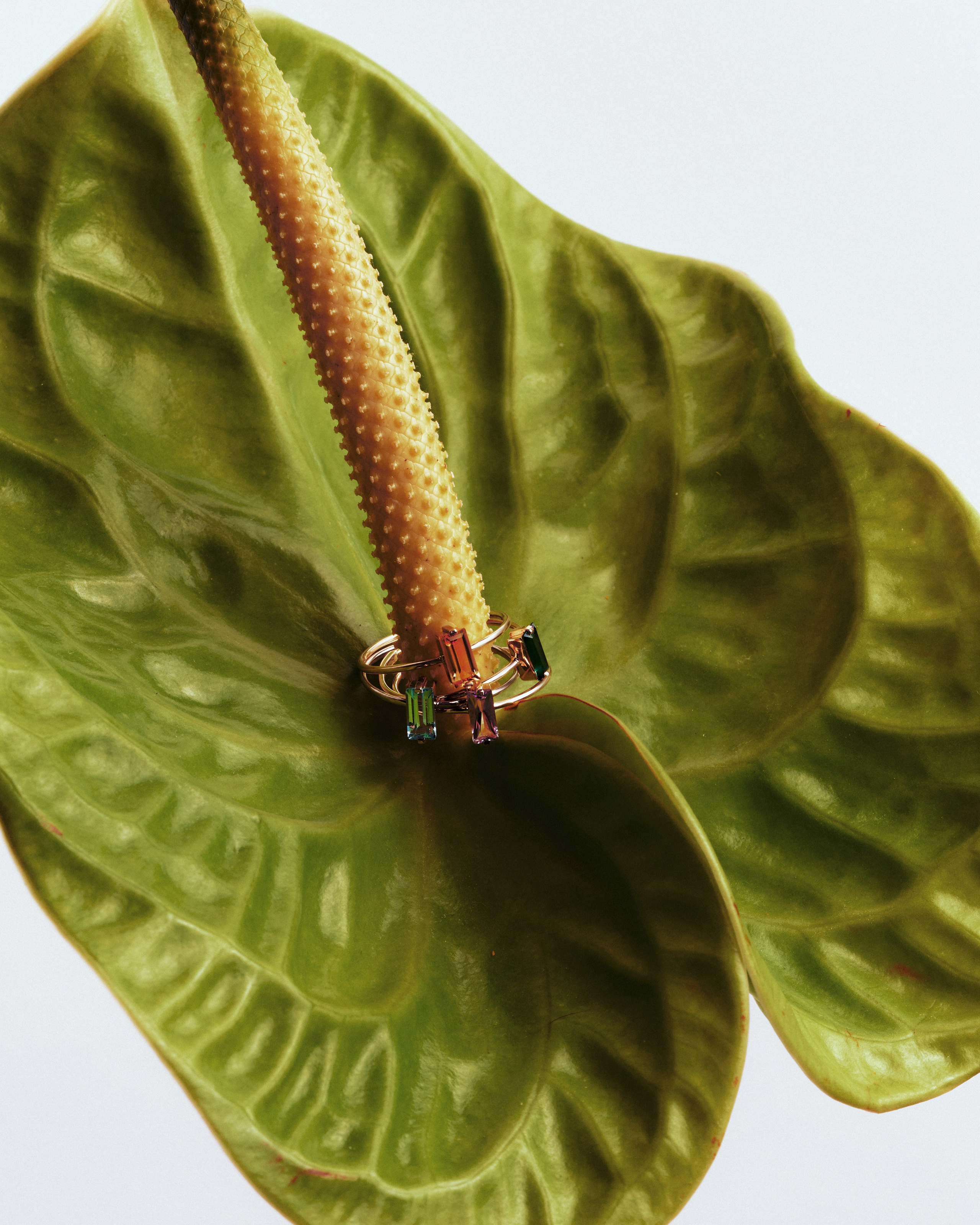 LOVELAVKA. Главная