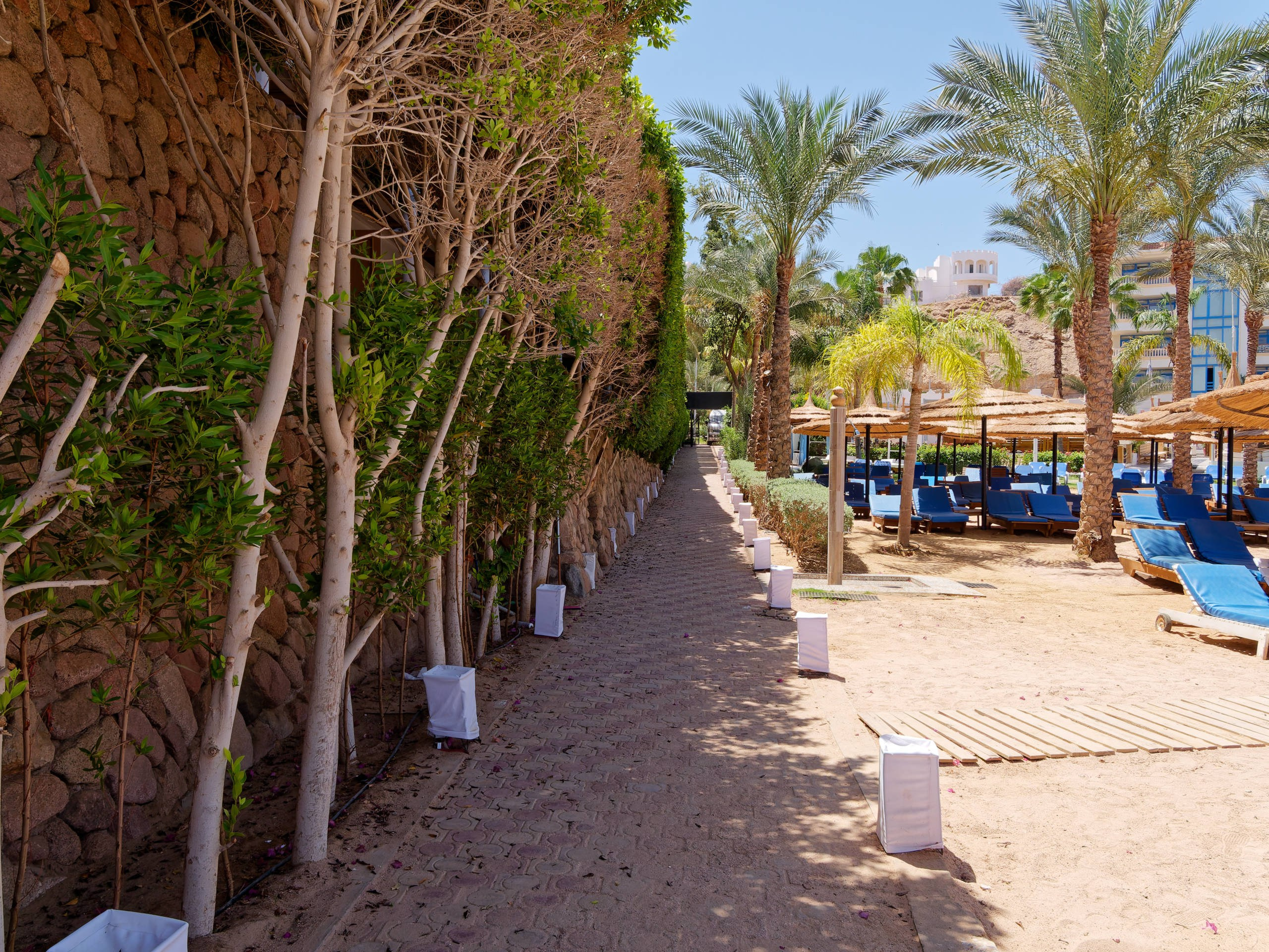 Шарм-эль-Шейх 2022 (1). Избранные фотографии