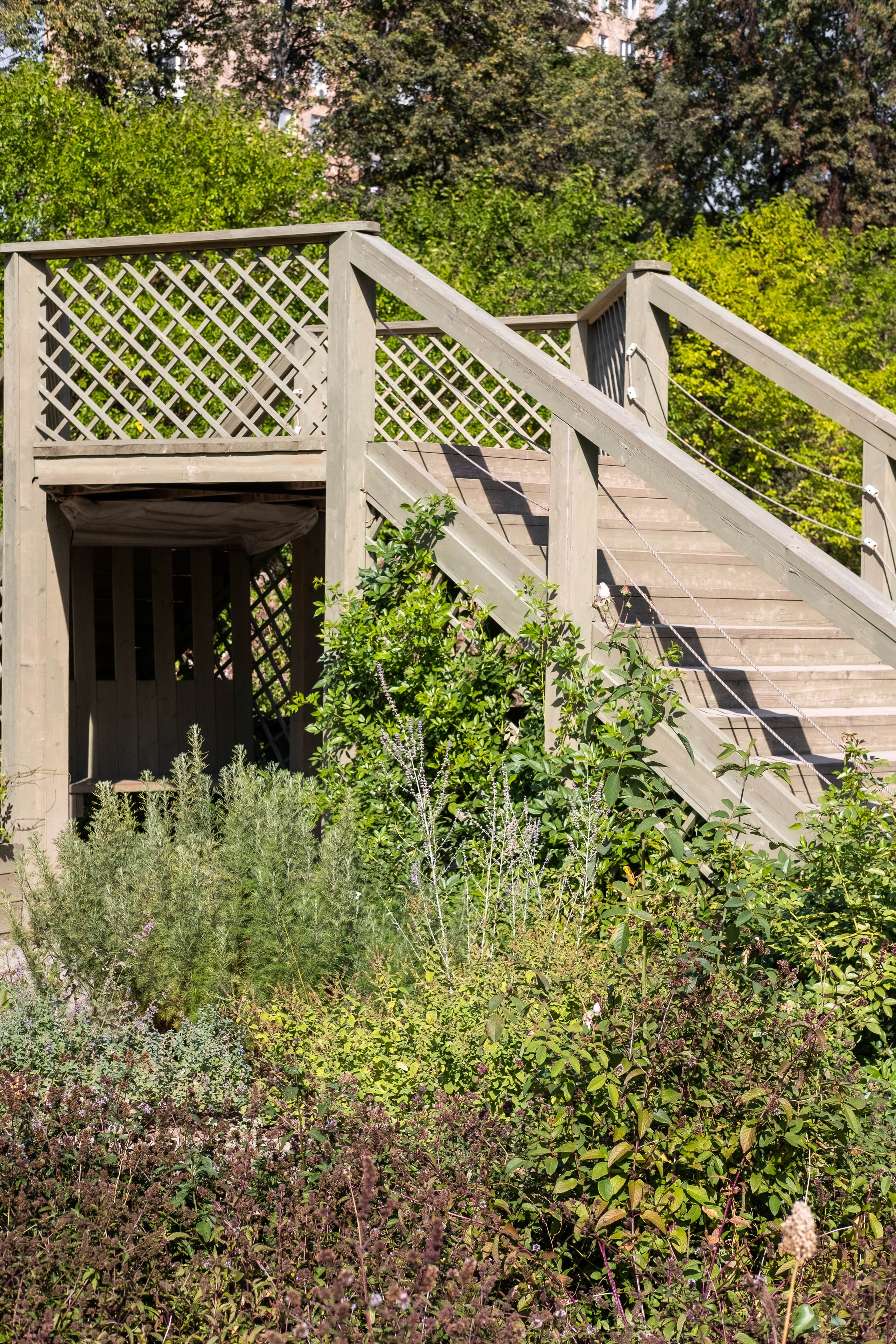 Москва 2024. Свадебный и семейный фотограф в Новосибирске, Санкт-Петербурге, Москве