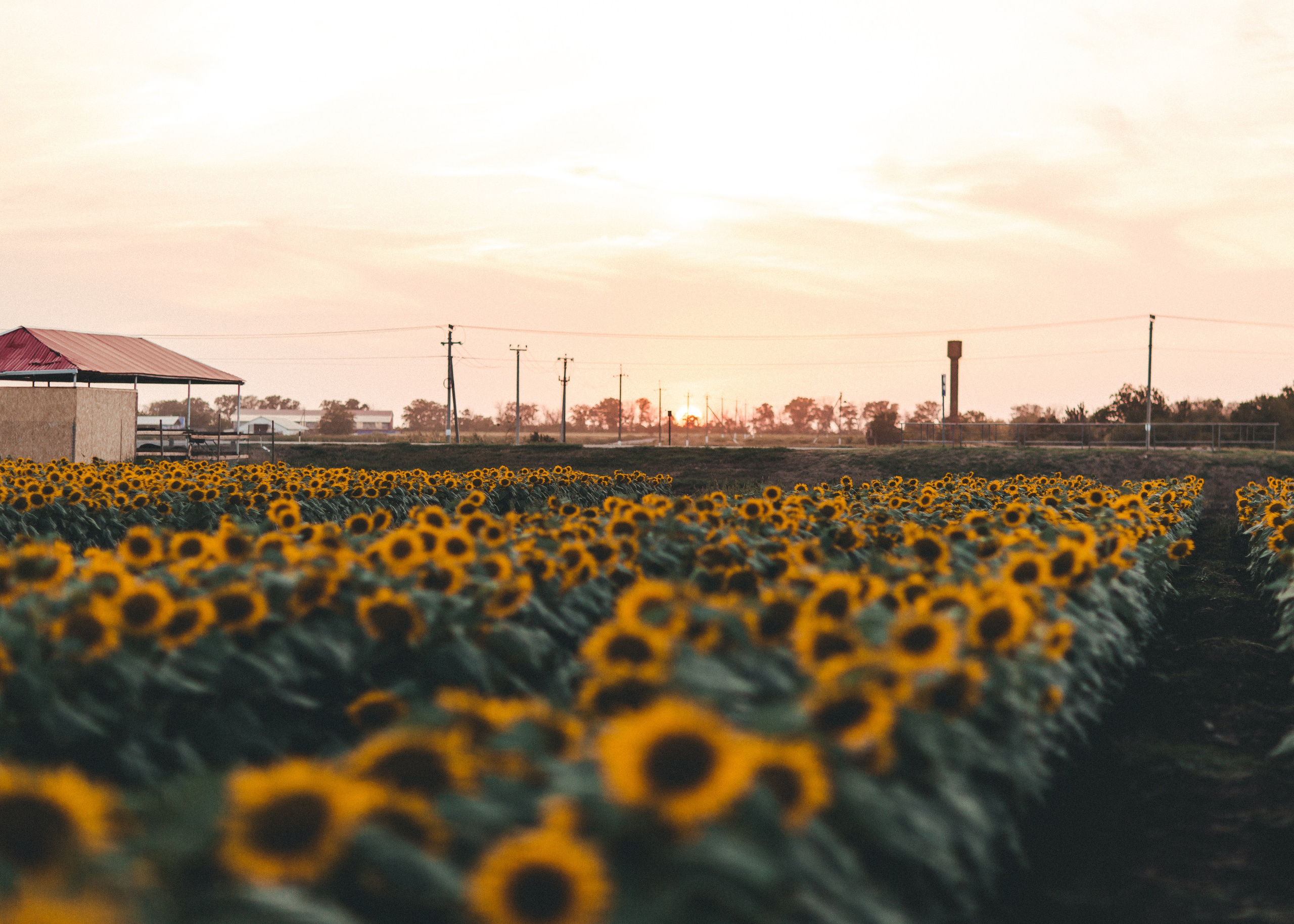 Ариша. Фотограф в Приморско-Ахтарске Марьяна Чопко