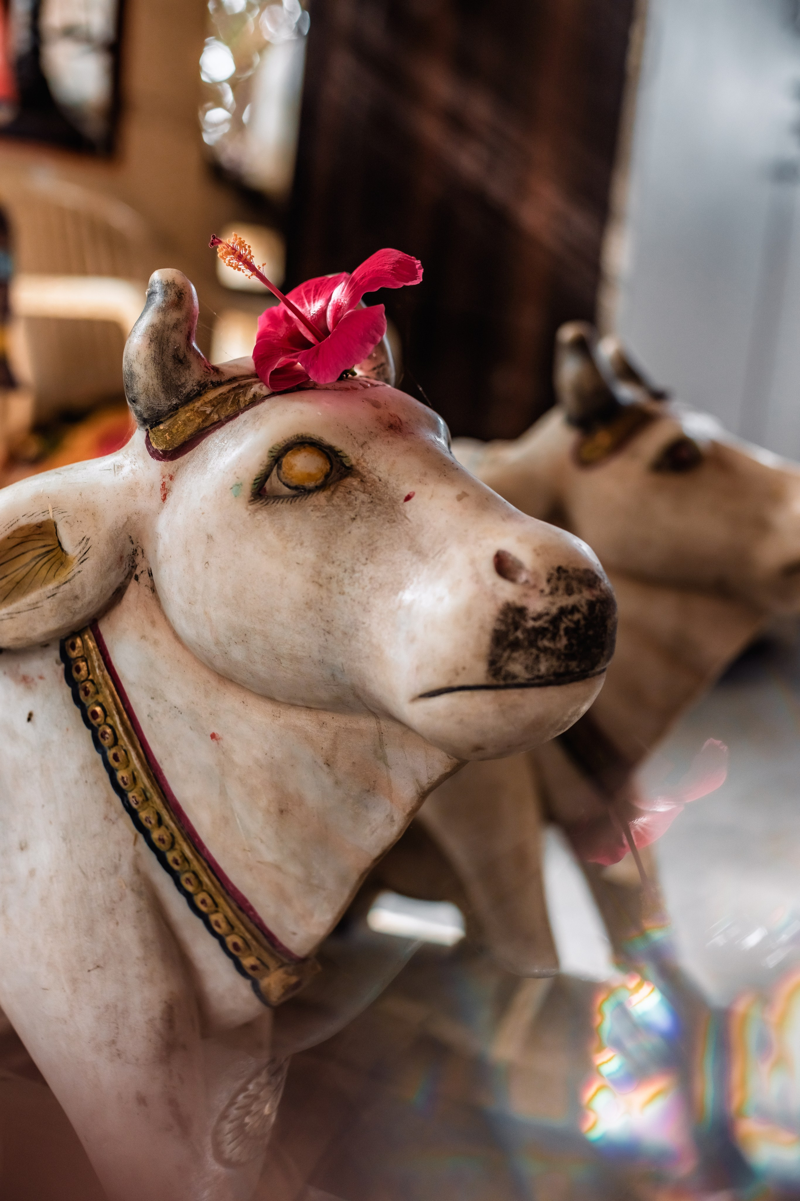 Devraha baba ji ashram life 2025. Mariam Bagdasaryan