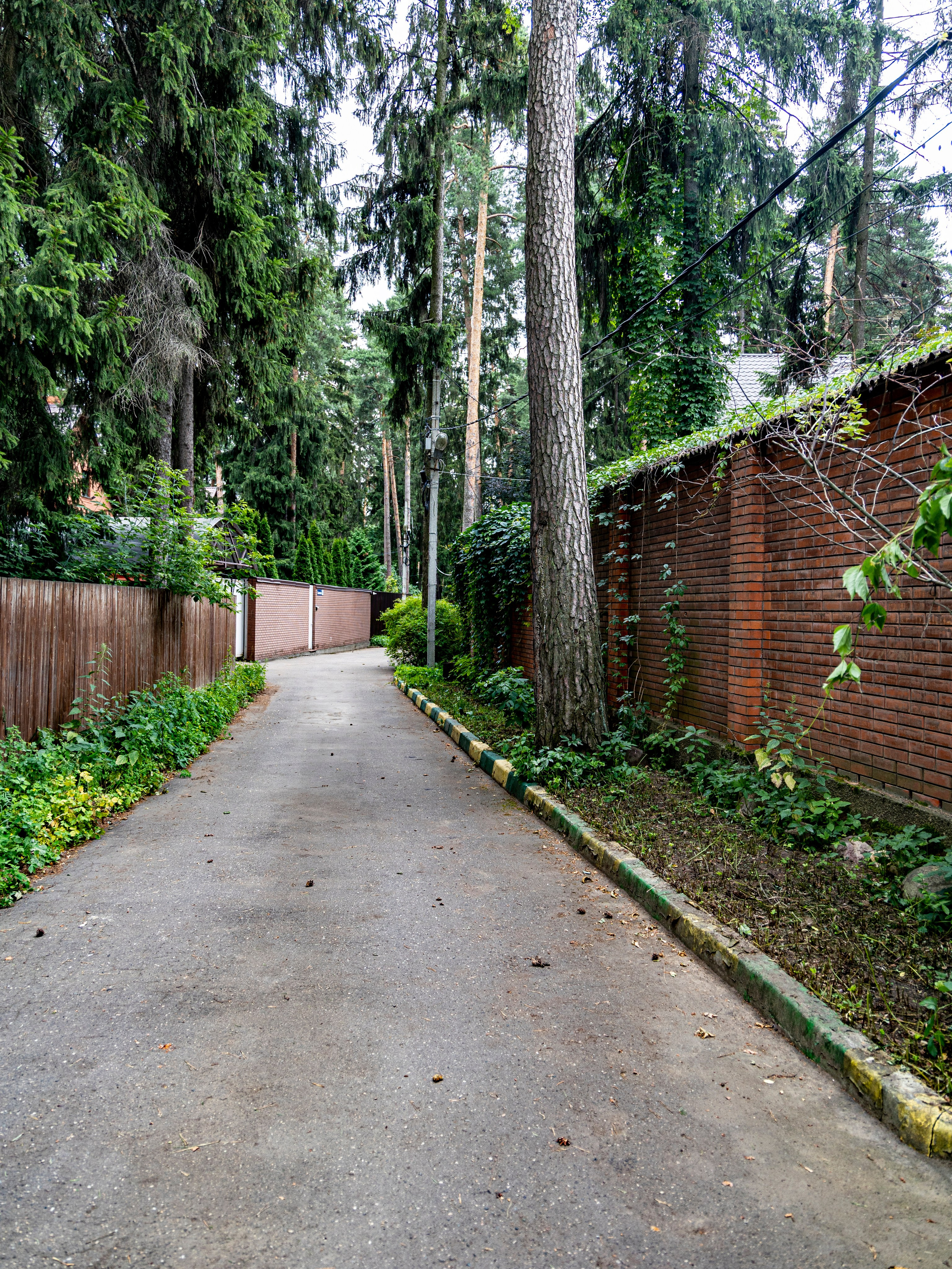 Фотограф Татьяна Марсуверских г. Жуковский, Москва и Мо. Репортажные съёмки, фотосессии. Детский, семейный фотограф. Фотограф для маркетплейсов, фотоуслуги в Жуковском Татьяна Марсуверских