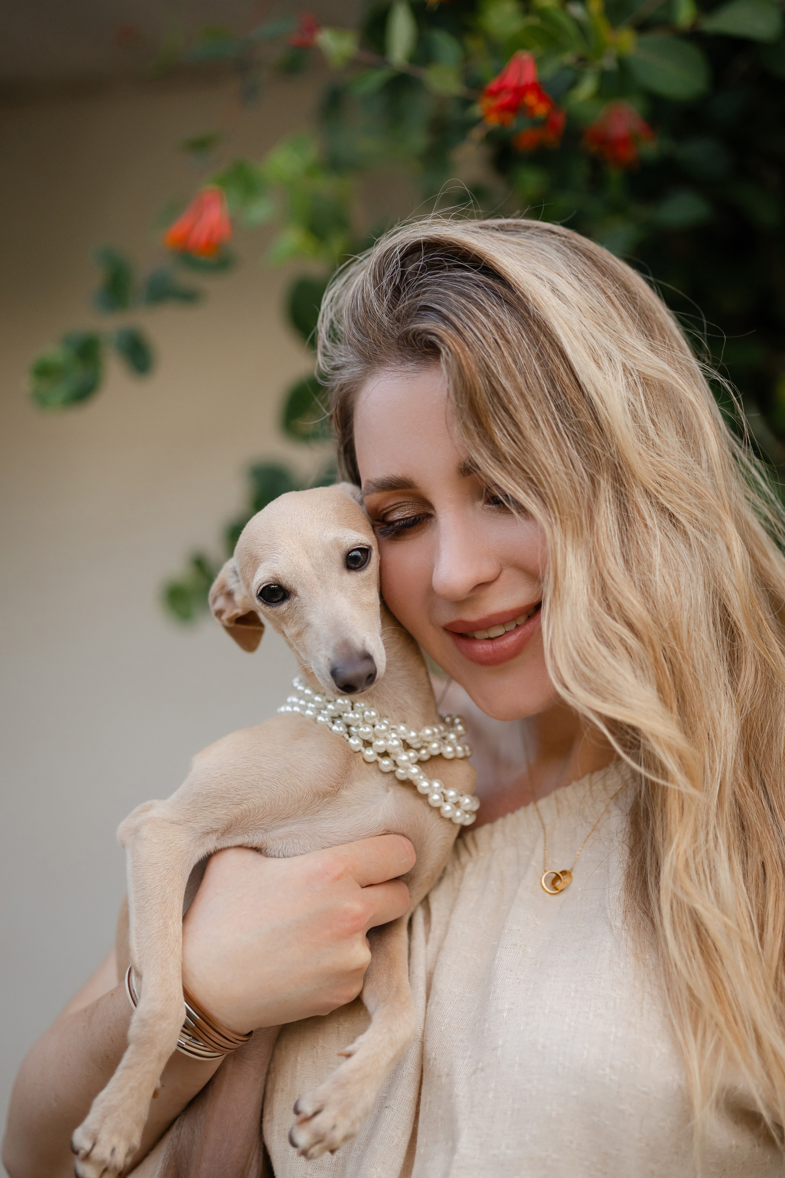 Asti Sapphire Adriana. Профессиональный питомник левреток РКФ/FCI ASTI SAPPHIRE 💎 Сочи|Санкт-Петербург