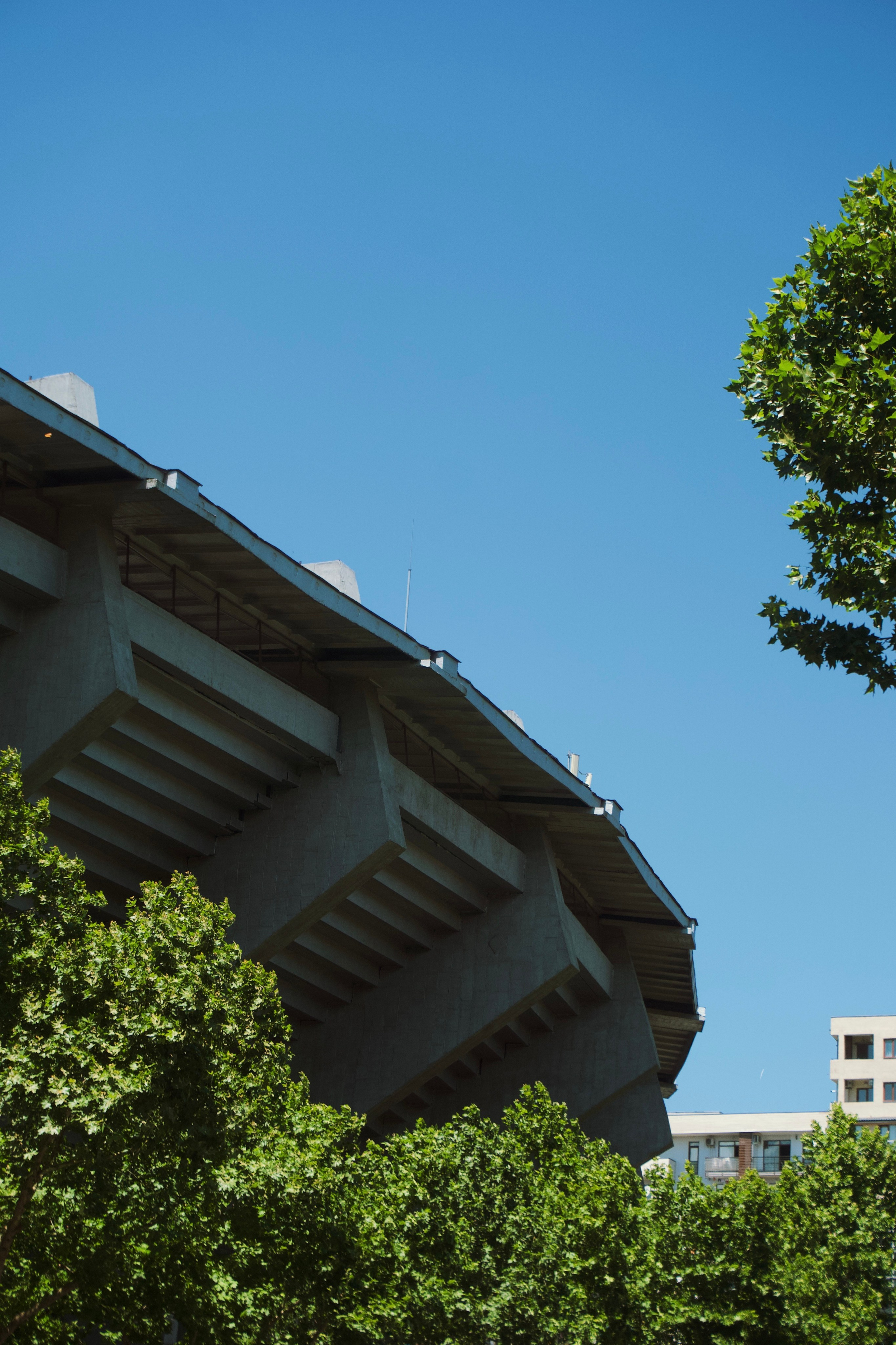 Тбилиси. Татьян гертье