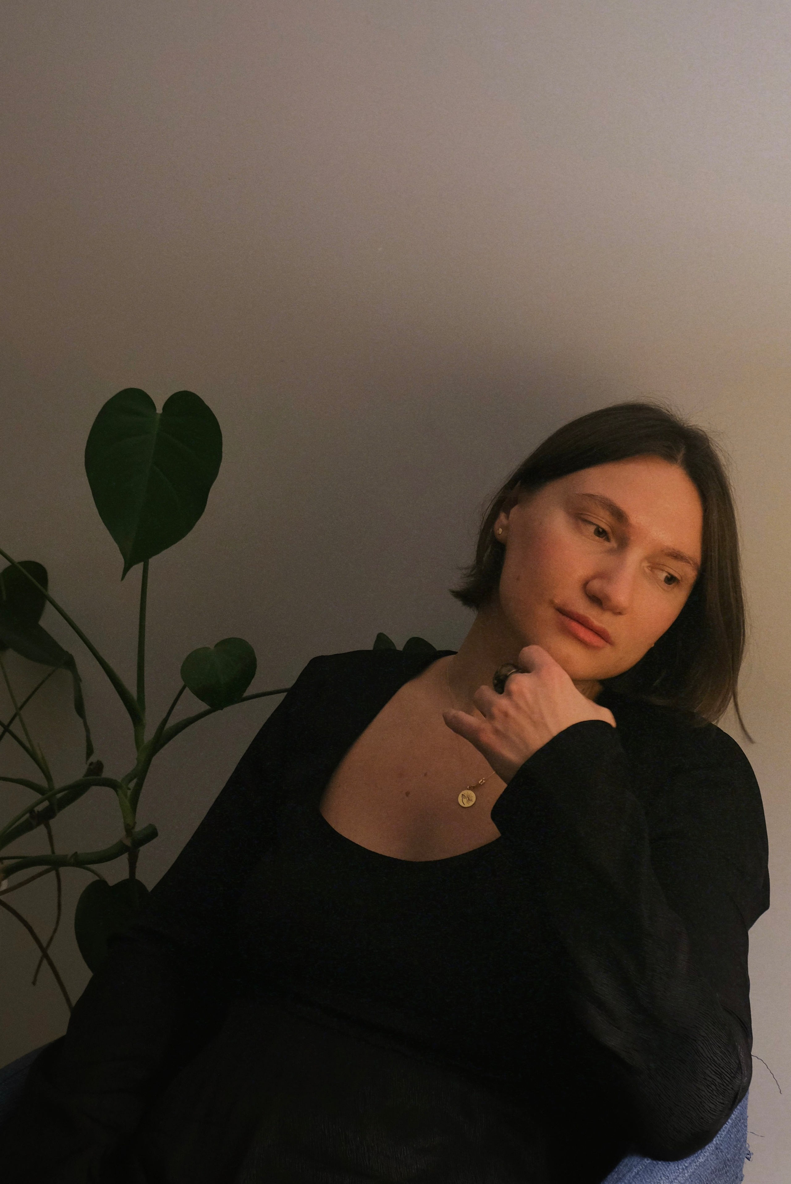 Дома. Татьян гертье