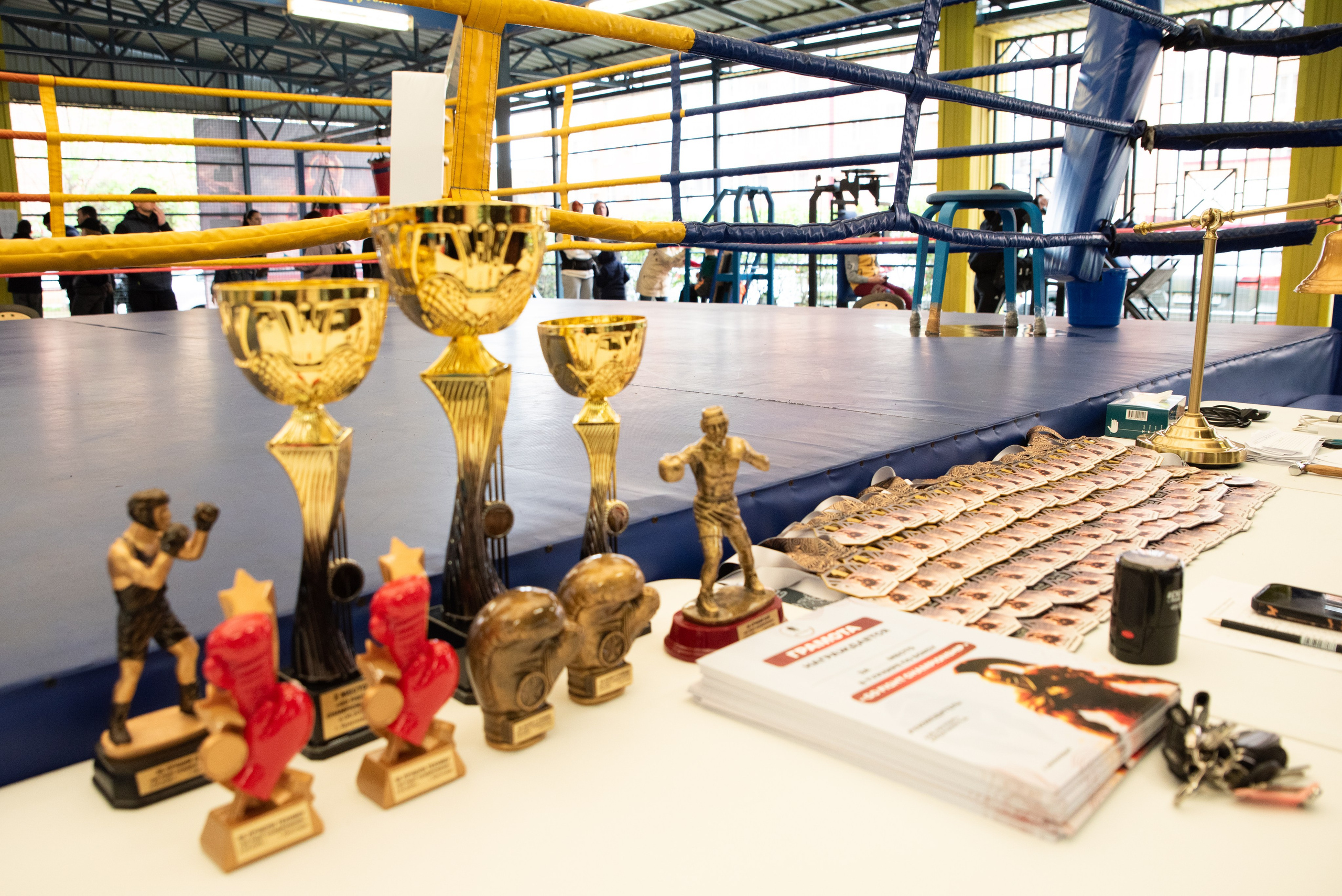 Соревнования GO FIGHT. Фотограф в Краснодаре Анна Карелина