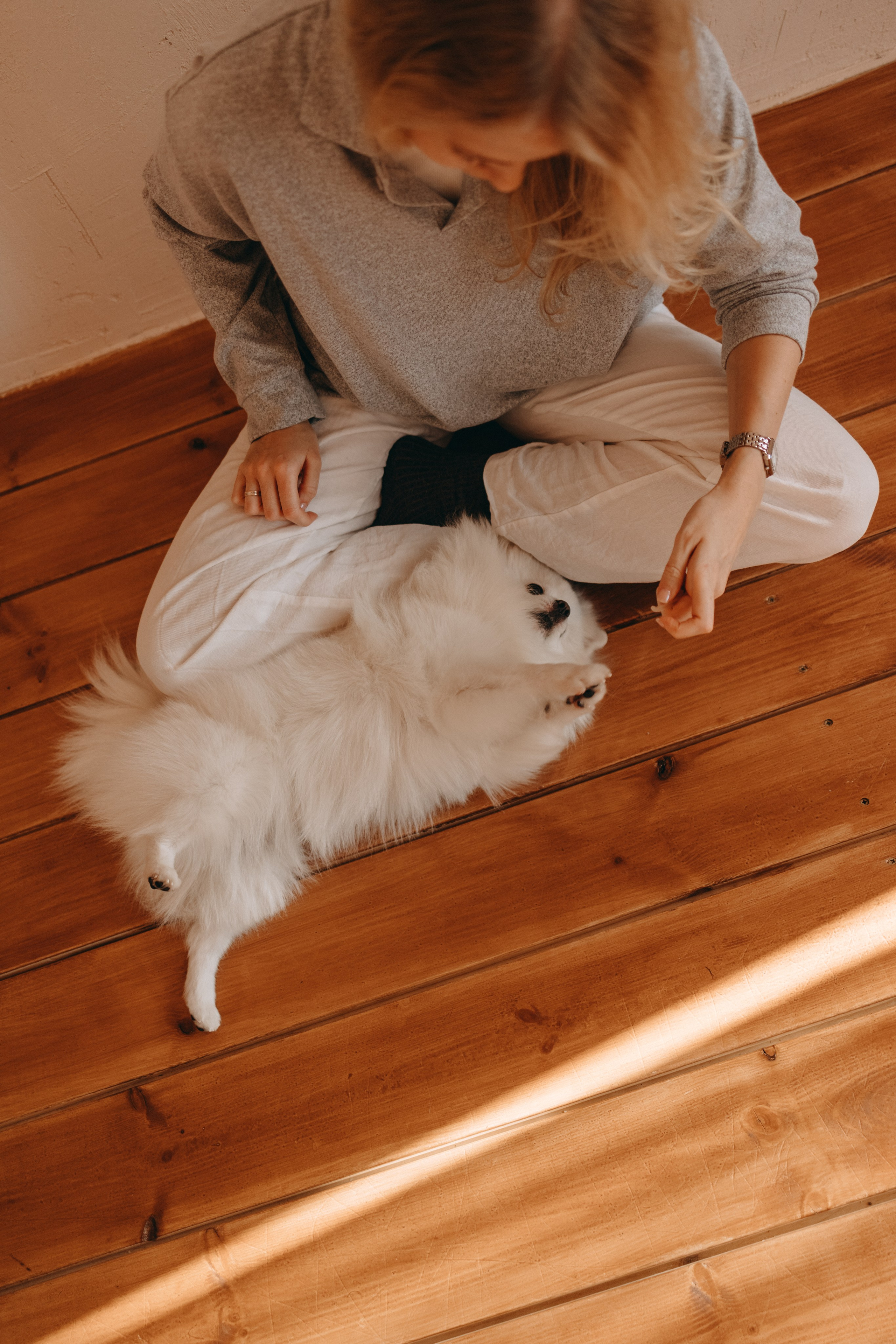 Джесси и ее семья. Фотограф — Анималист | Санкт-Петербург