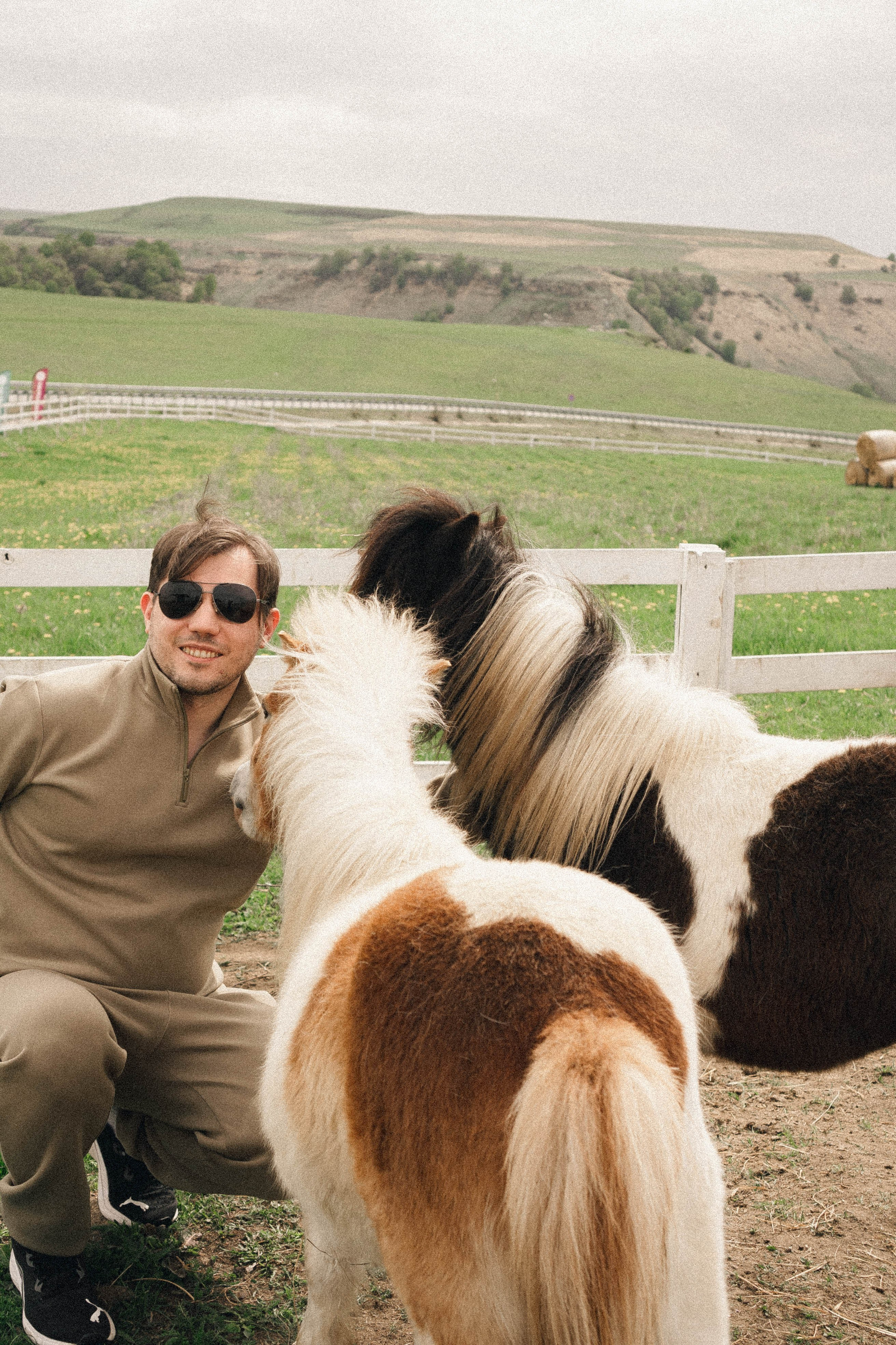 Ферма Альпак. Профессиональный фотограф, Санкт-Петербург — Виктория Богомолова