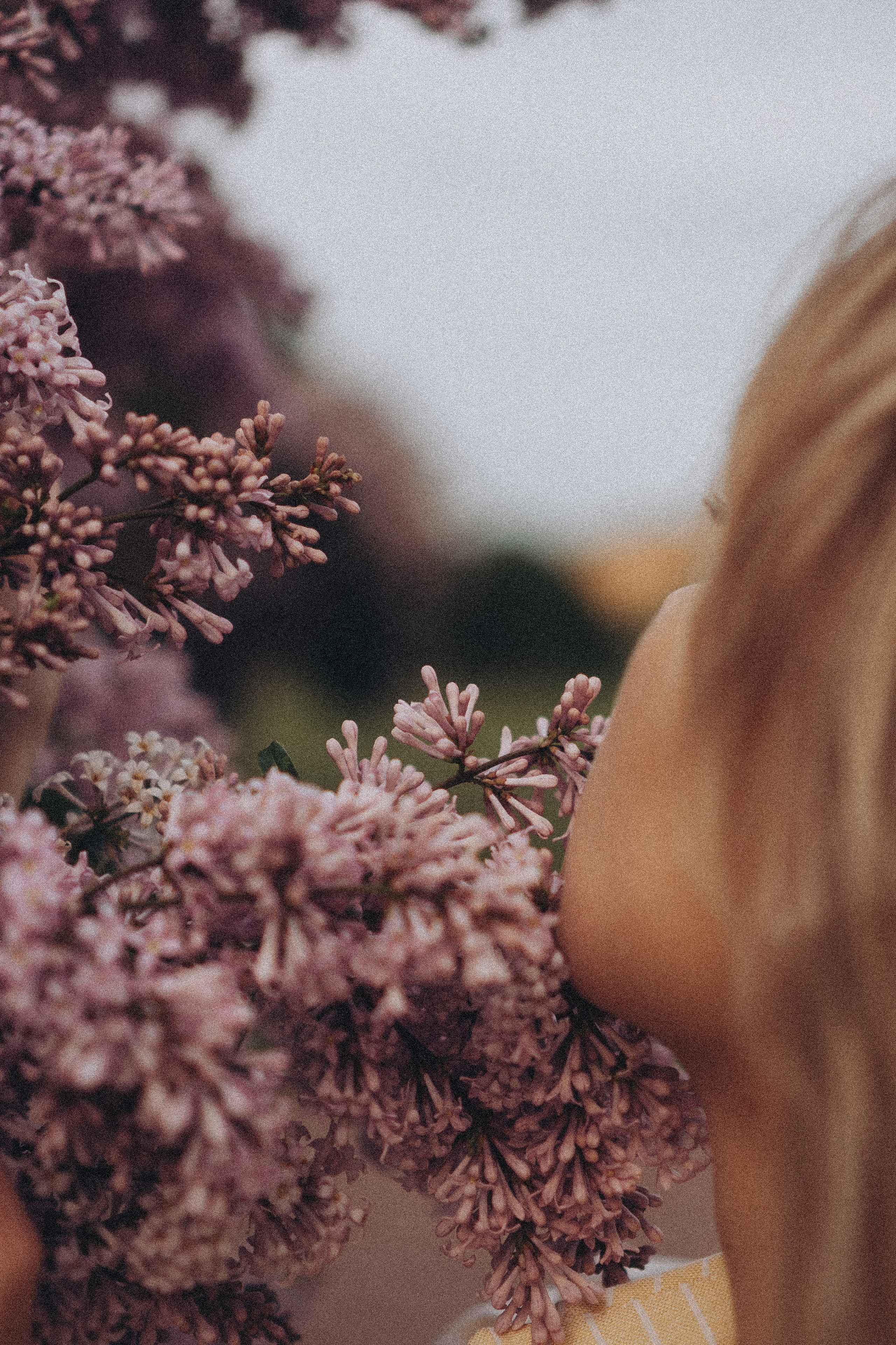 Весна. Профессиональный фотограф, Санкт-Петербург — Виктория Богомолова