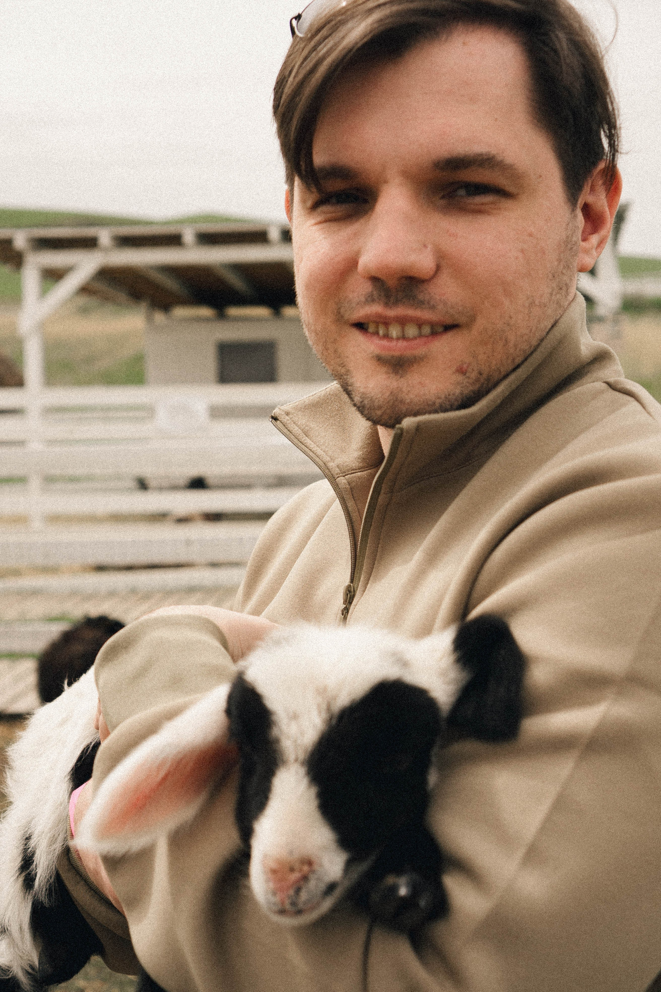 Ферма Альпак. Профессиональный фотограф, Санкт-Петербург — Виктория Богомолова