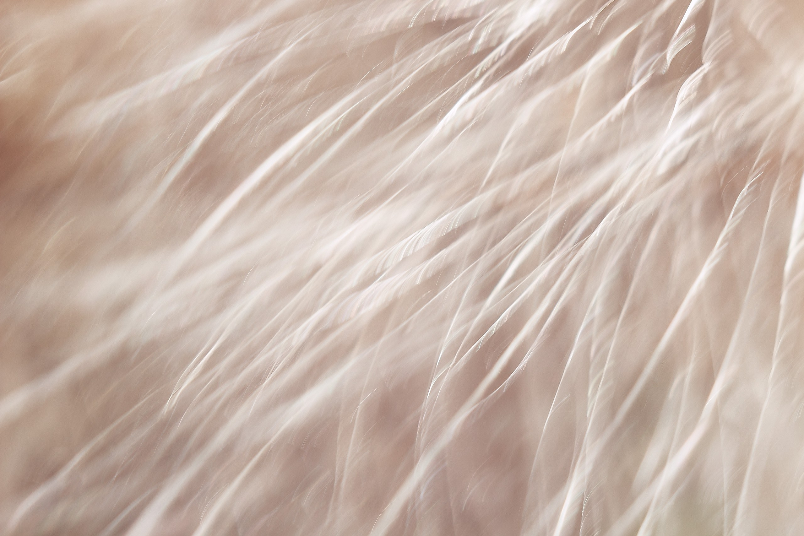 Великое в Малом. Аmat Victoria Сuram