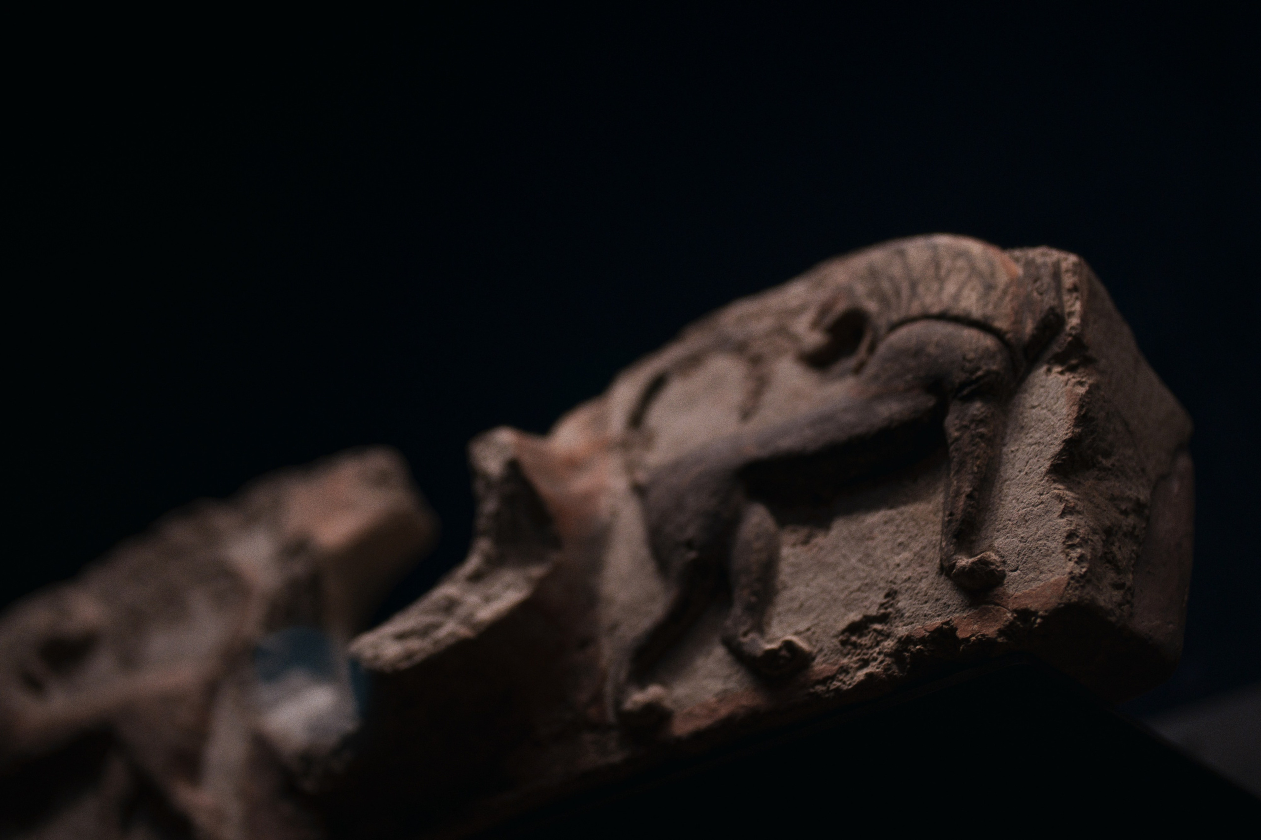Archaeological Museum / Istanbul, Türkey SS25. Фотограф Юрин Евгений