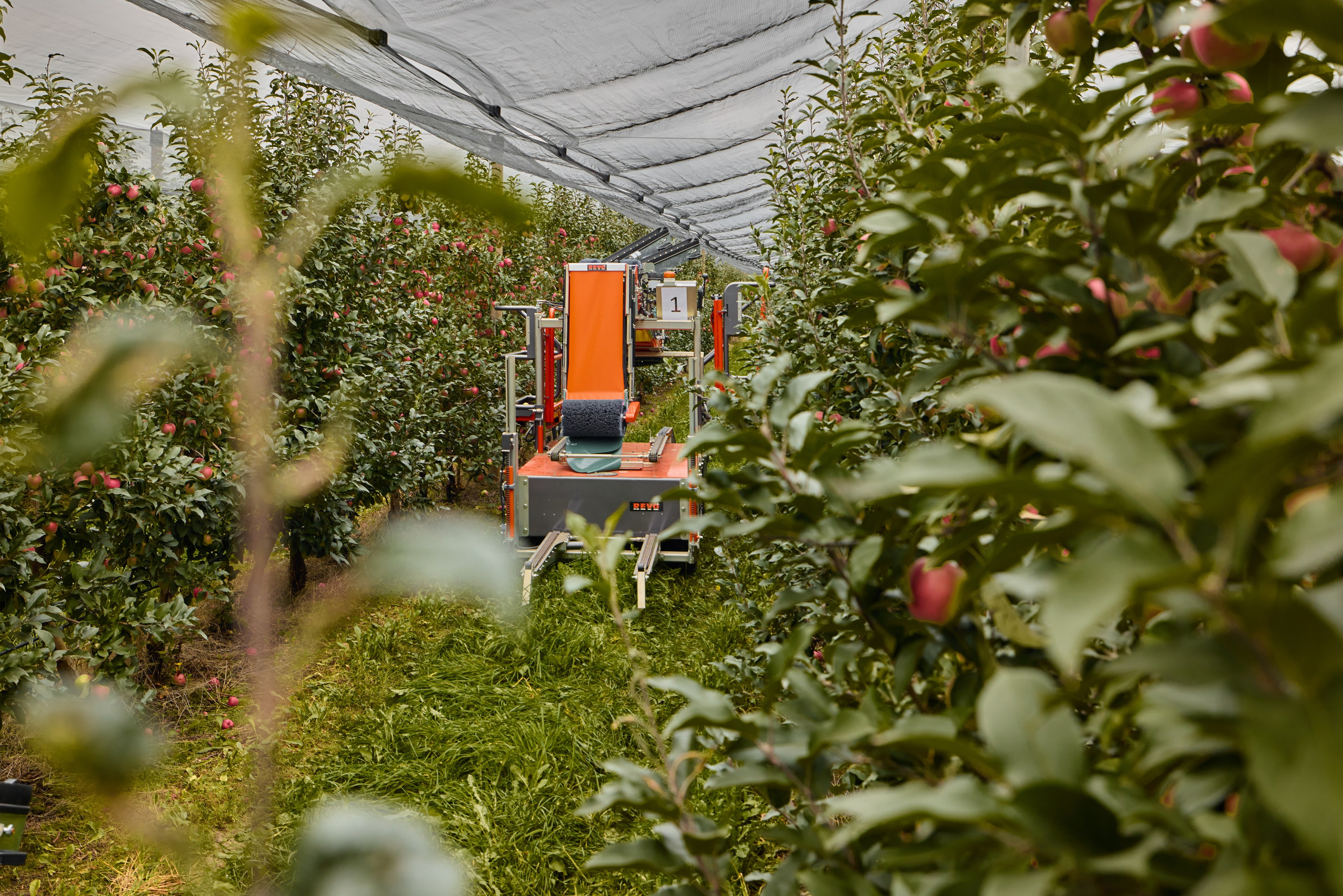 Собрано в саду. Святослав Лебедев | Рекламный фотограф — Коммерческая съемка, Арт-дирекшн, AI-интеграция
