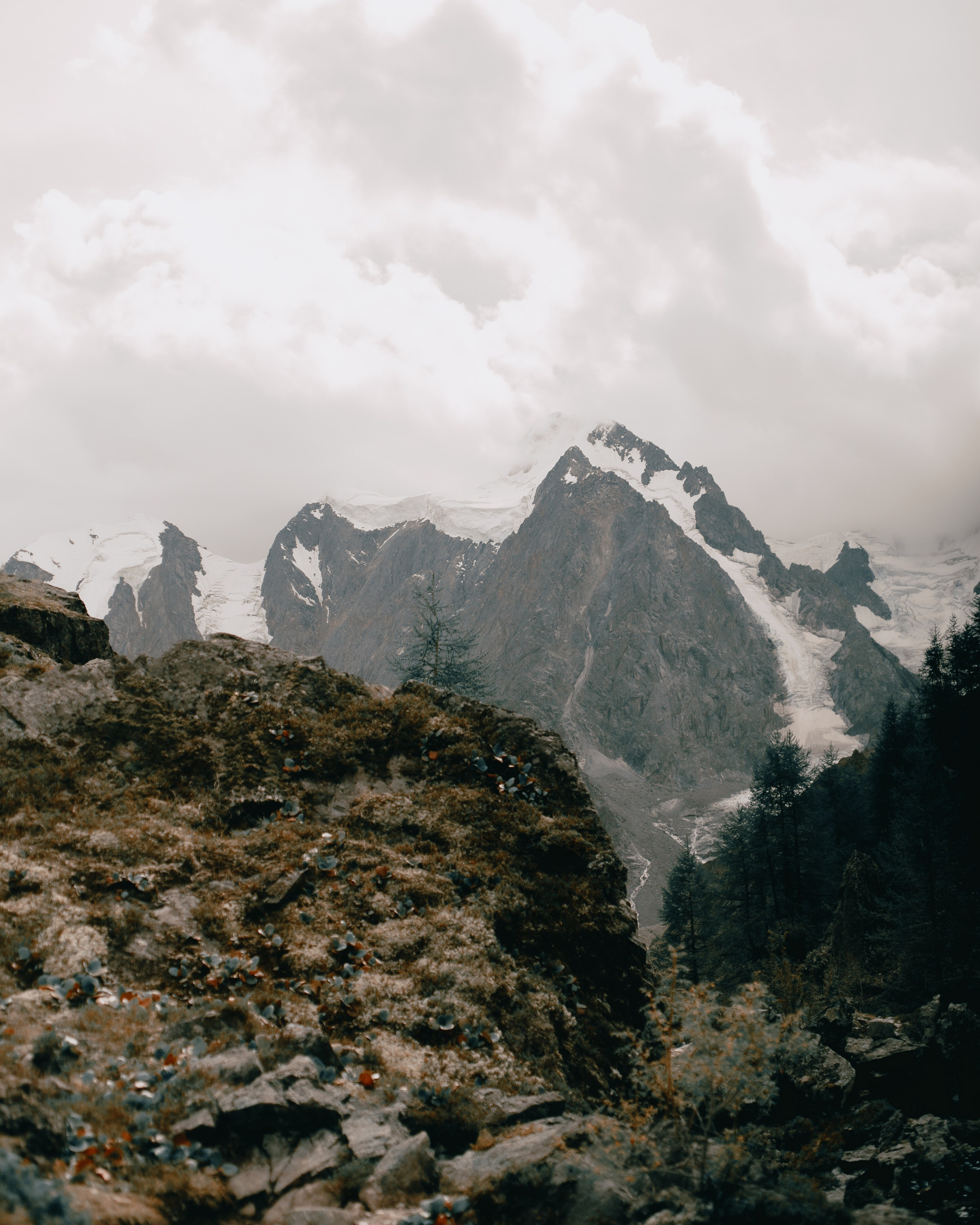 Шавлинские. Главная