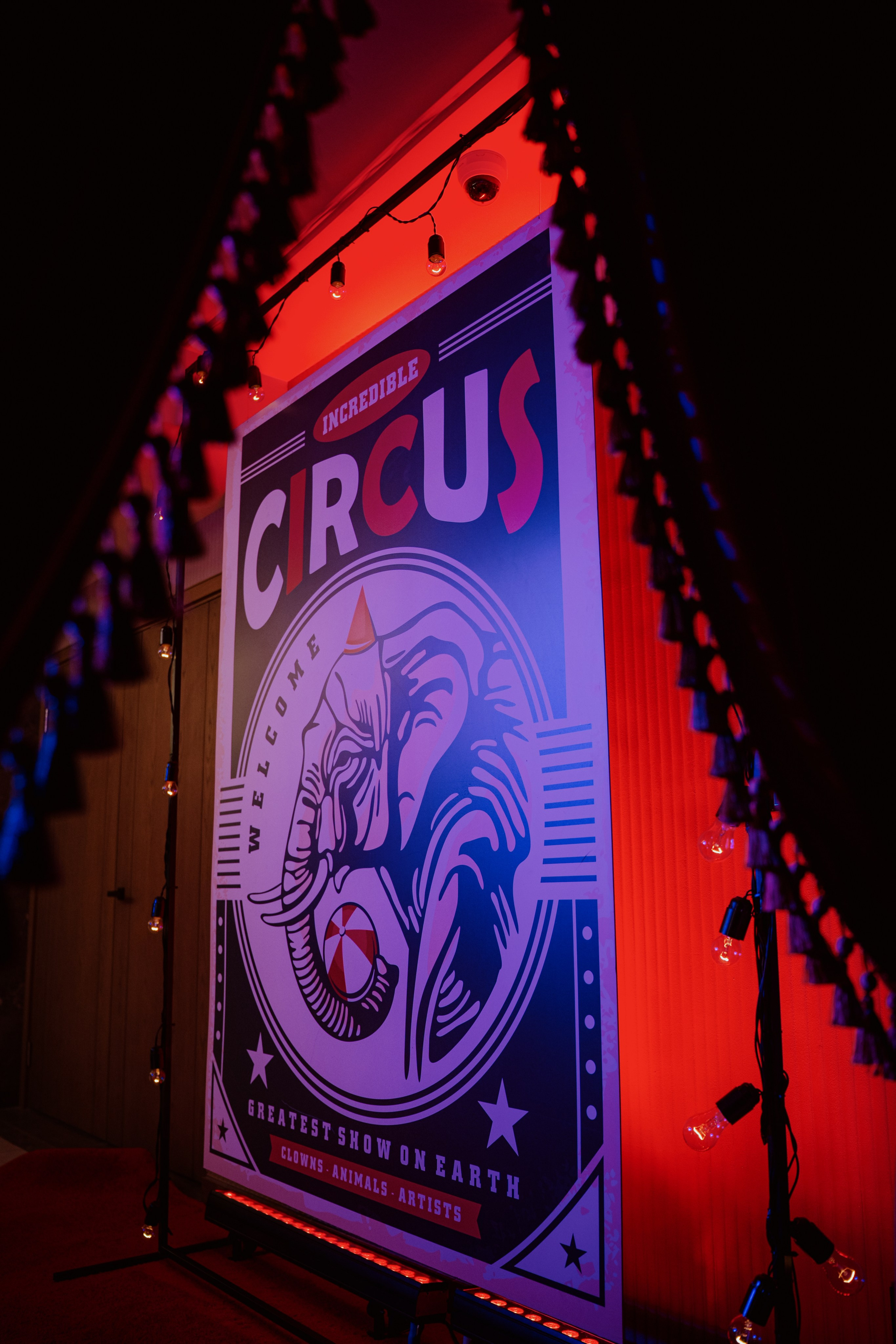 Grainiest Party. Portfolio