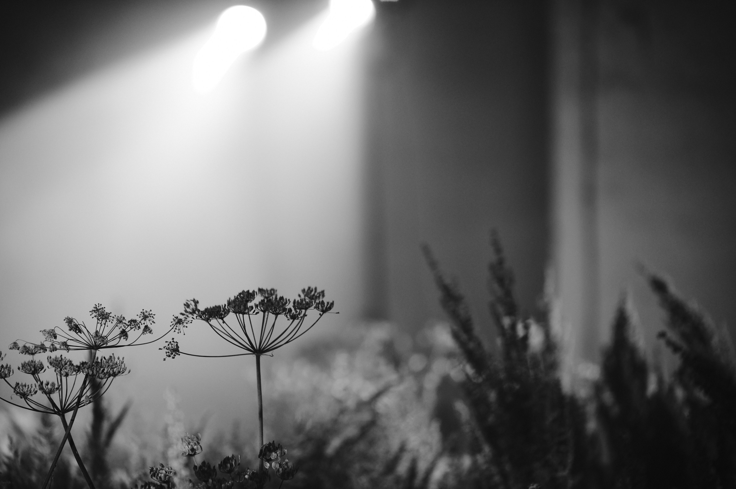 НЕСВОЕВРЕМЕННЫЕ МЫСЛИ. Коммерческий фотограф в Казани Ксения Добролюбова