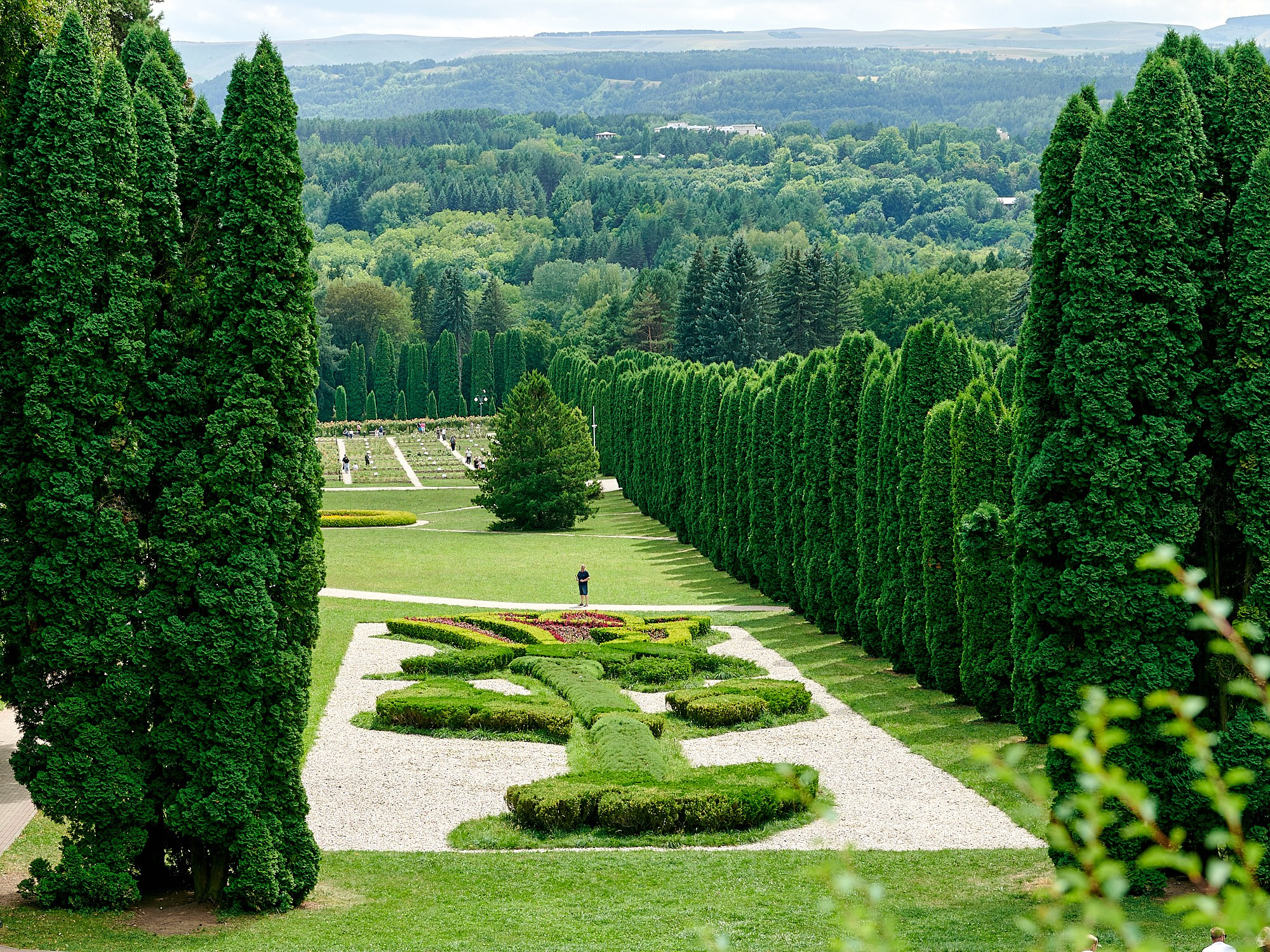 Кисловодск, Россия. Август 2024. Фотографии отовсюду и обо всем