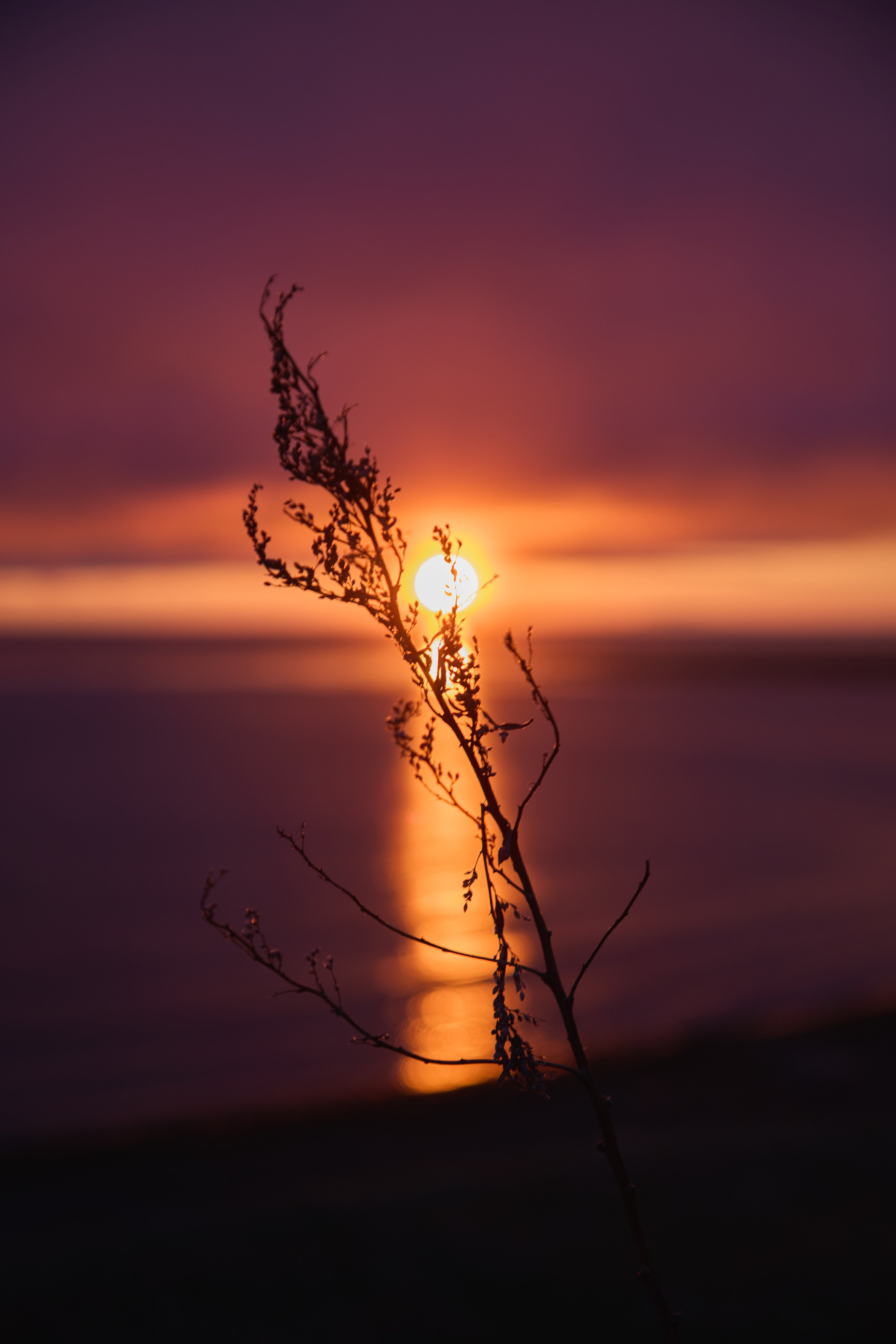 Sakhalin island
