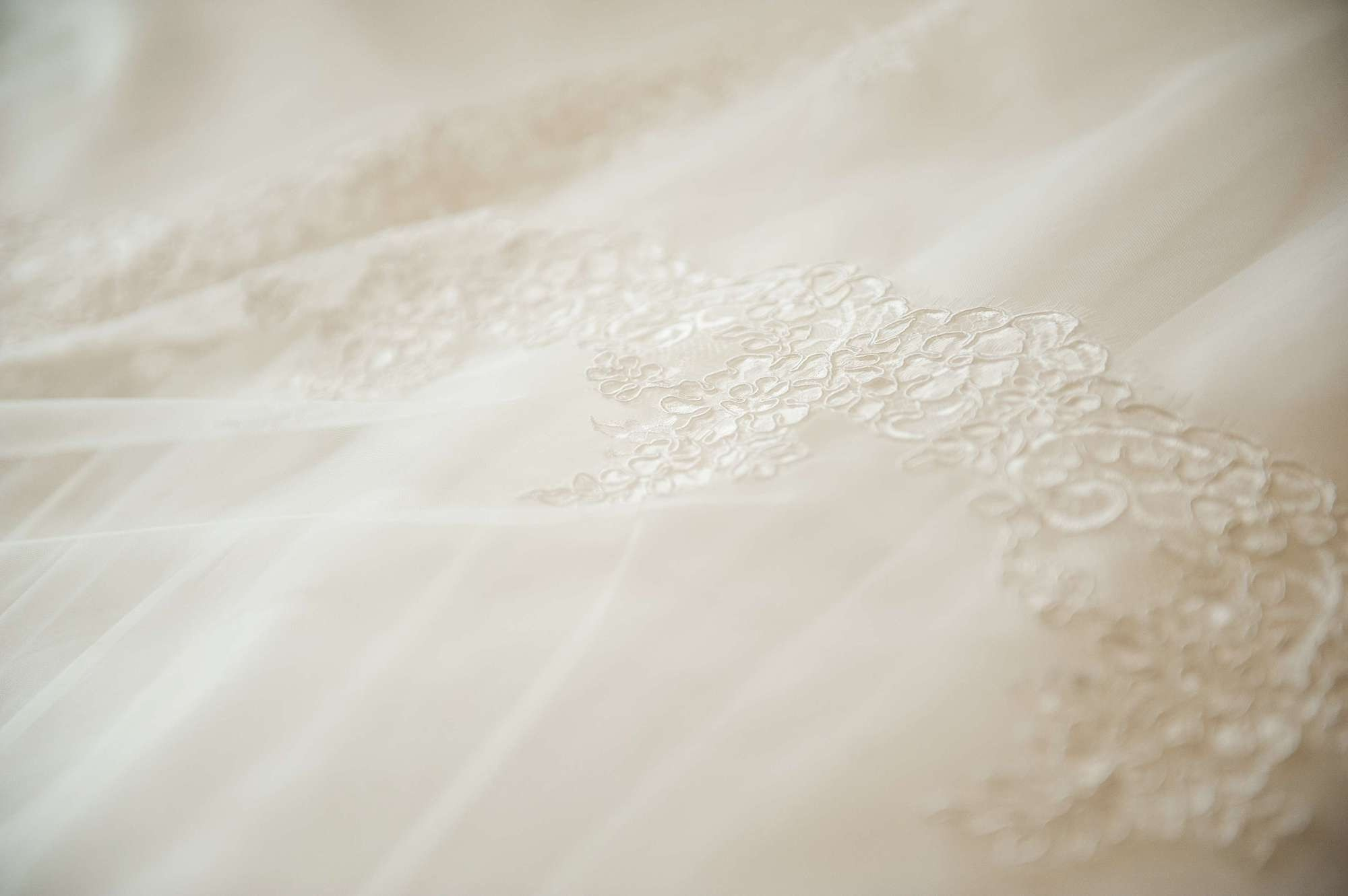 Владимир и Элина