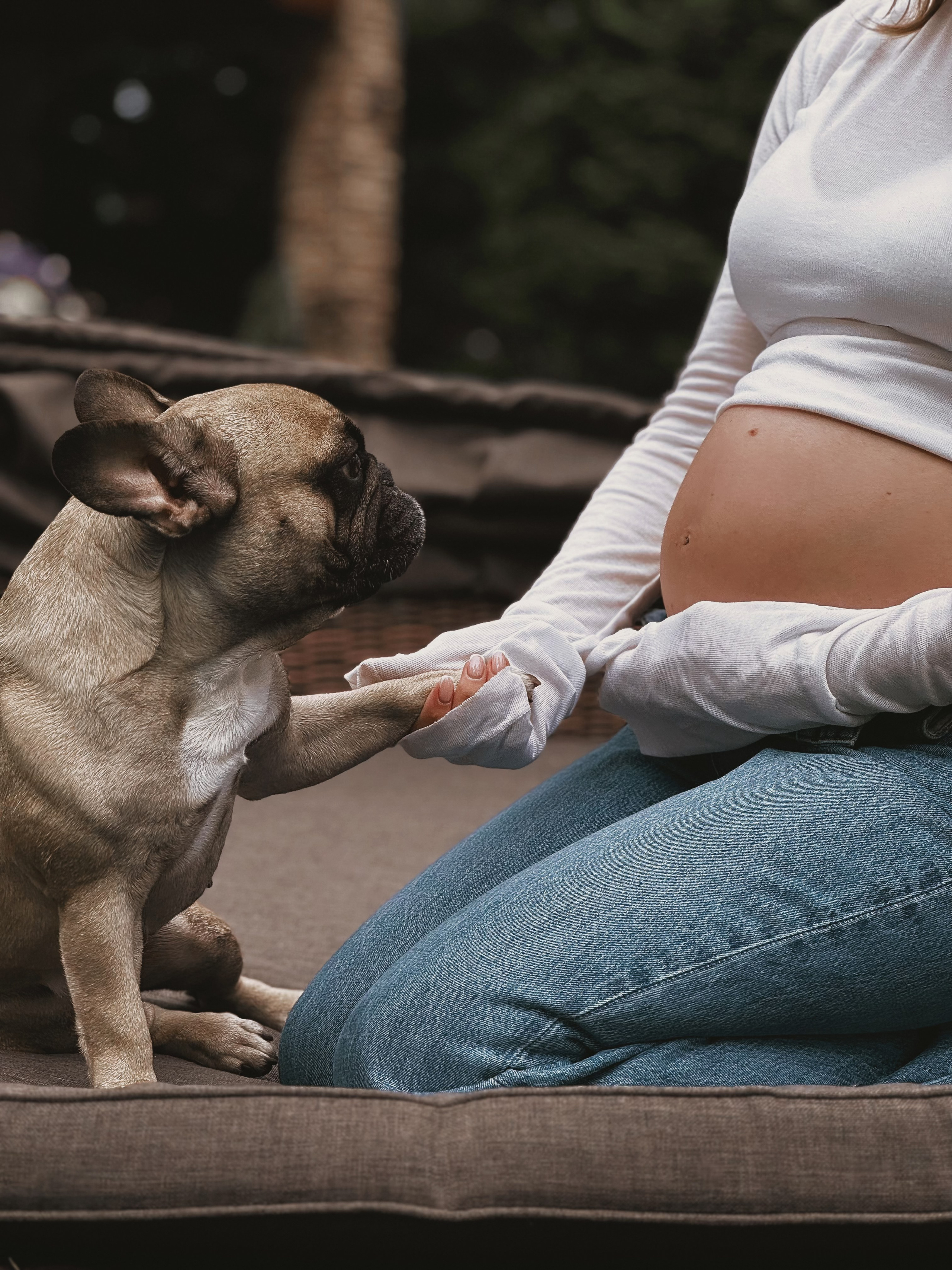 Лиза&Даня.Беременность. Фотограф/рилсмейкер в Москве и МО. Свадьбы, индивидуальные съемки, лавстори, беременность, мероприятия, бренды
