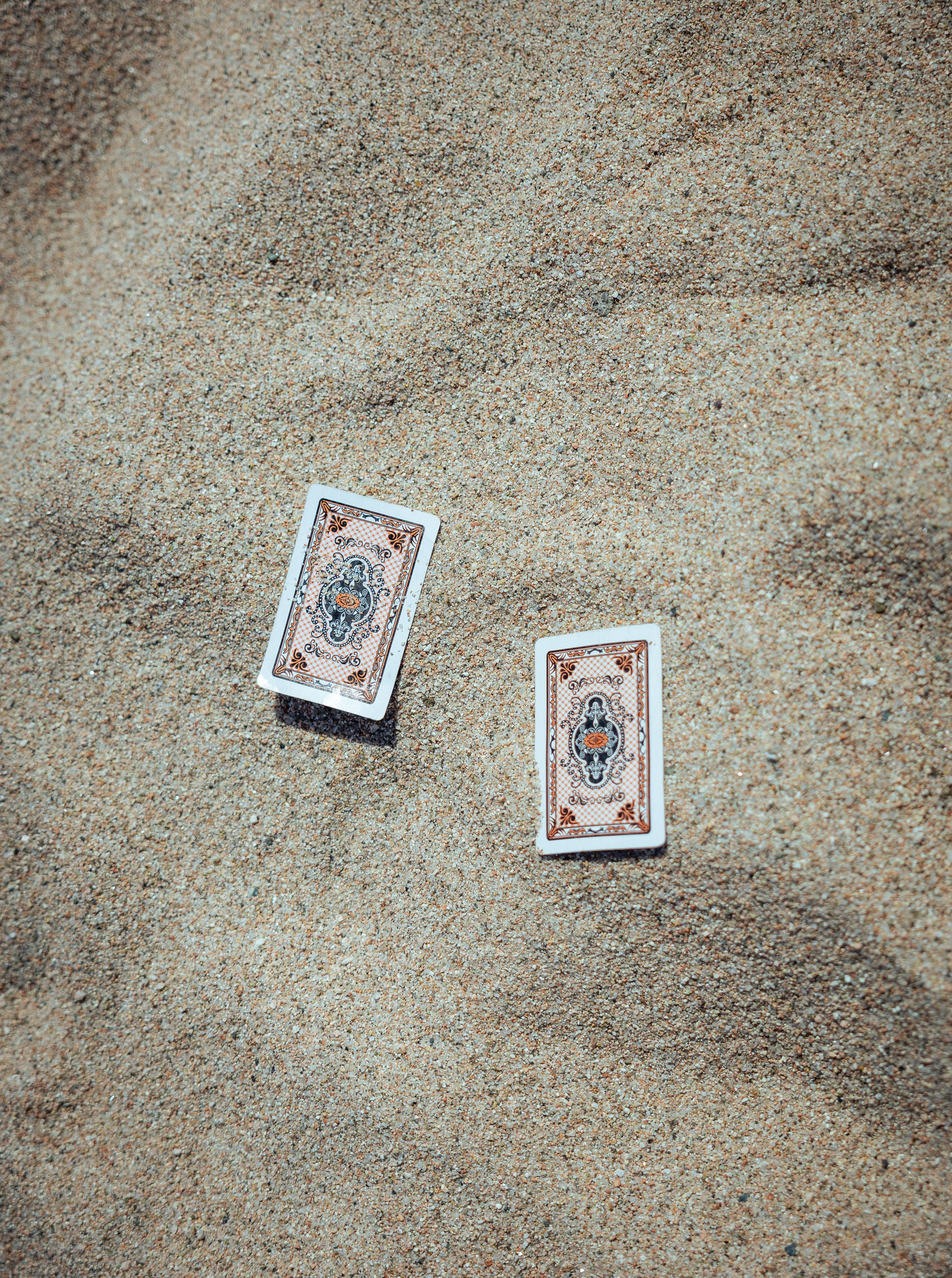 Кыргызстан (весна 2025). Фотограф Виноградов Константин